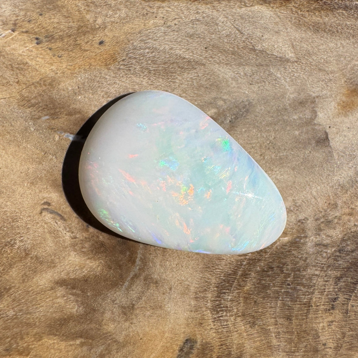 1.7ct Coober Pedy Shell Fossil Opal | Solid Australian Opal | Hand-Cut