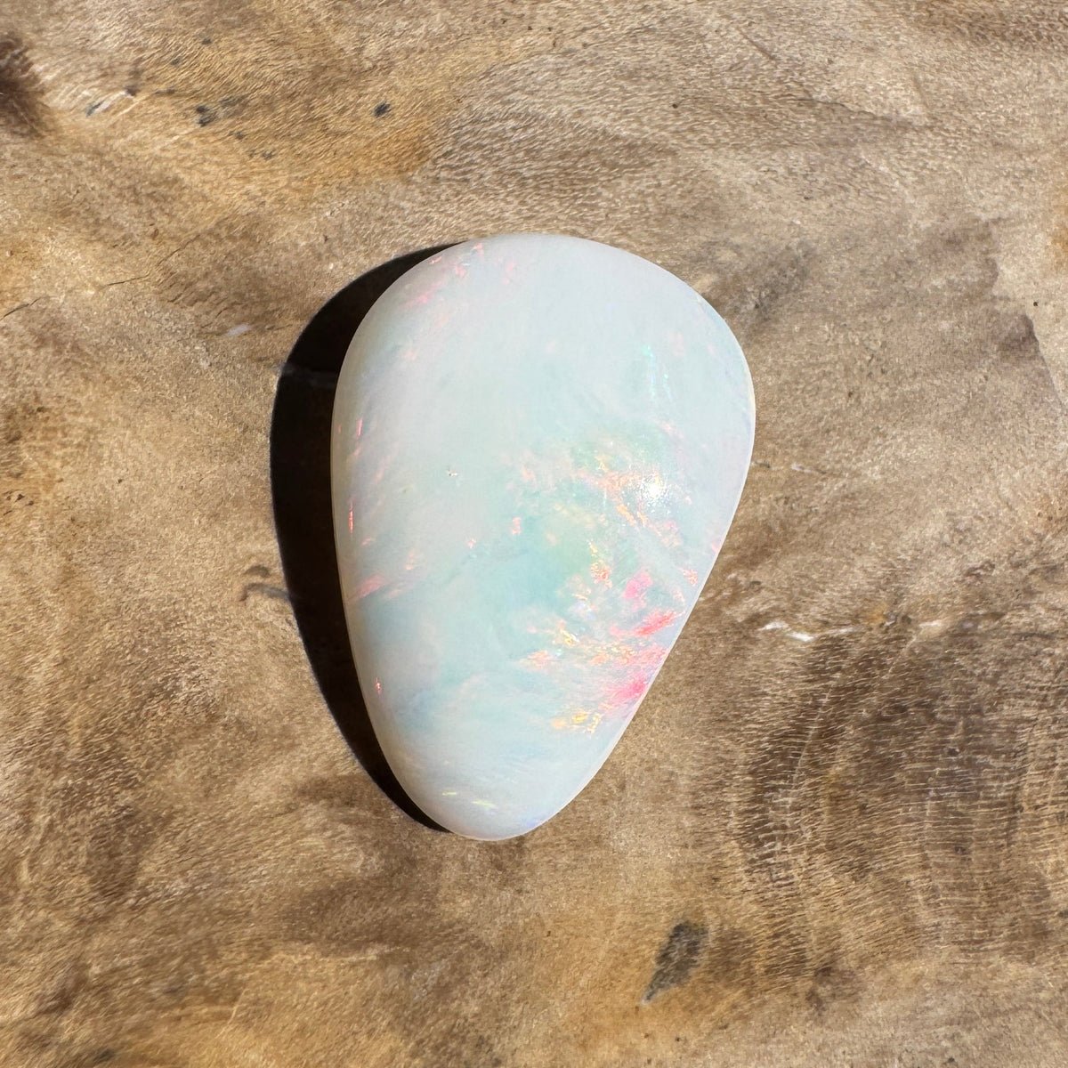 1.7ct Coober Pedy Shell Fossil Opal | Solid Australian Opal | Hand-Cut