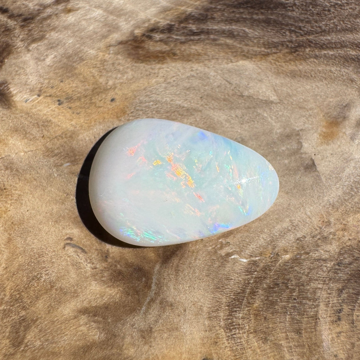 1.7ct Coober Pedy Shell Fossil Opal | Solid Australian Opal | Hand-Cut