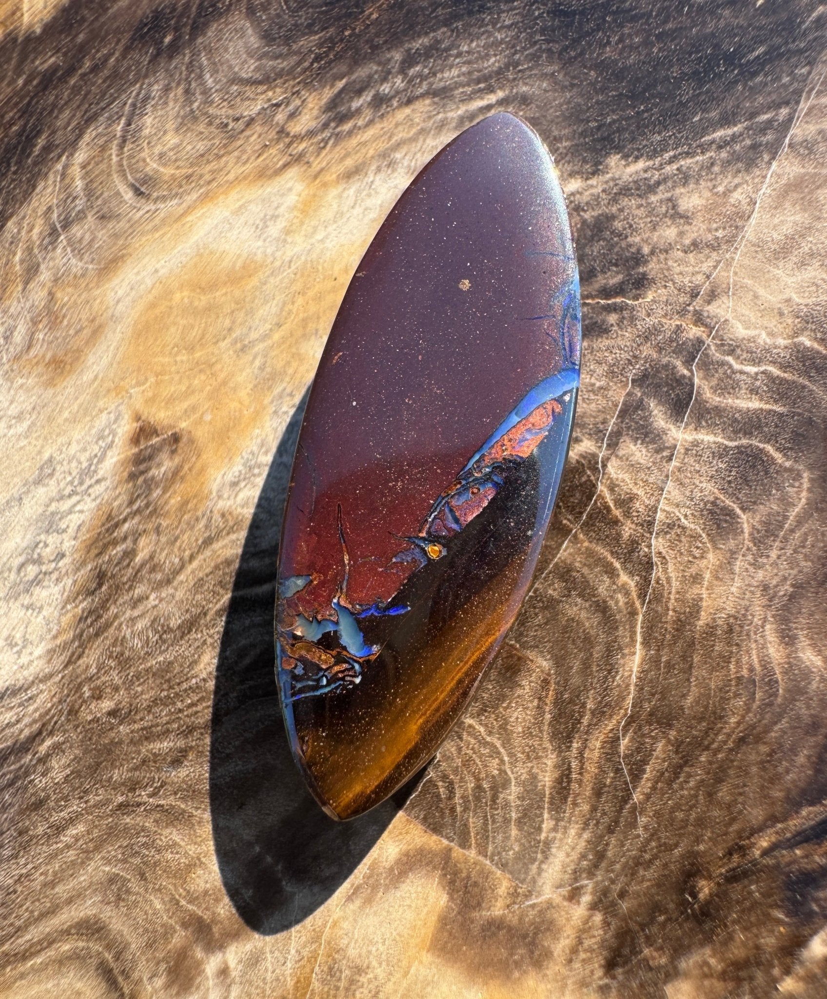 18.6ct Solid Queensland Boulder Opal