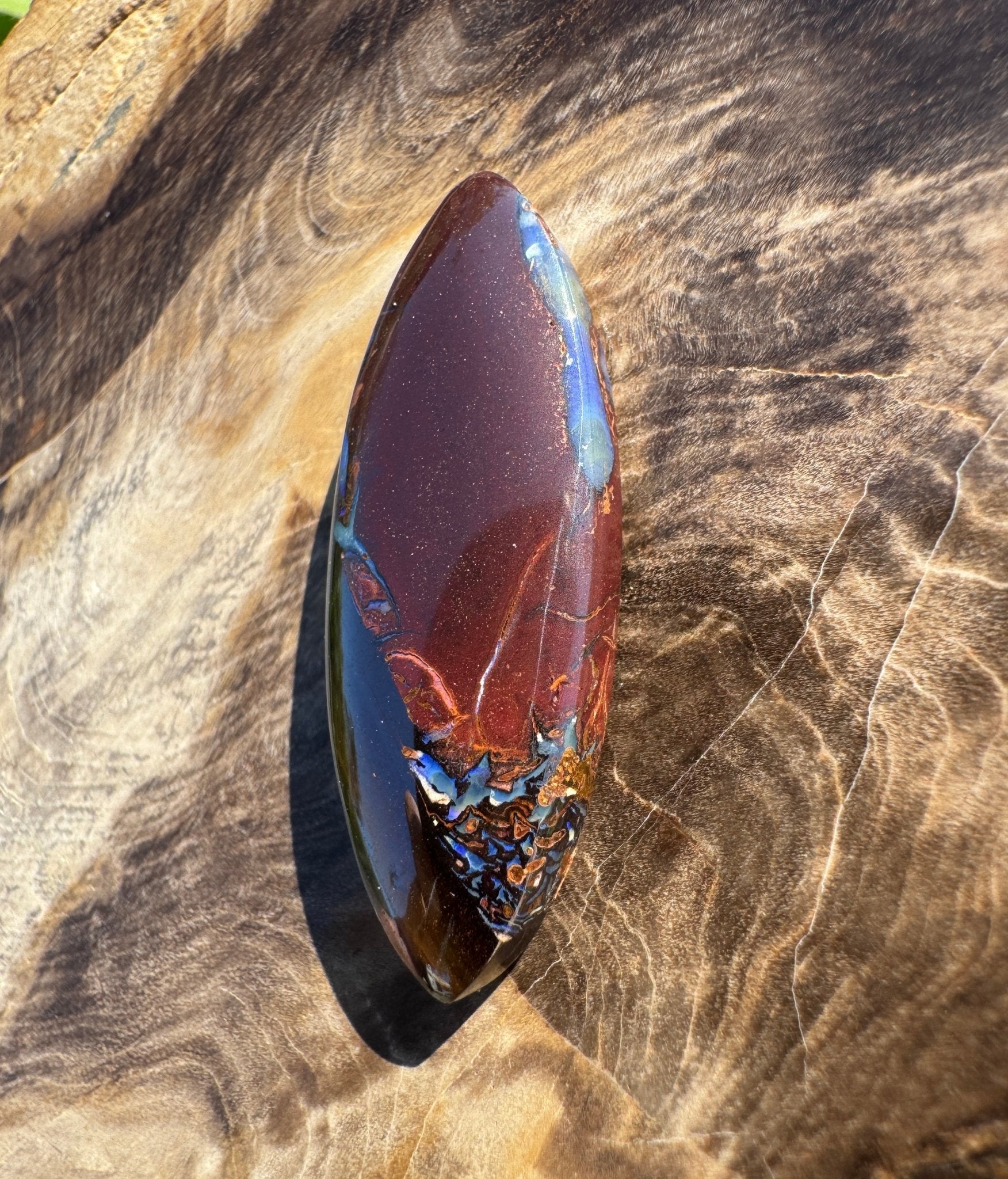 18.6ct Solid Queensland Boulder Opal