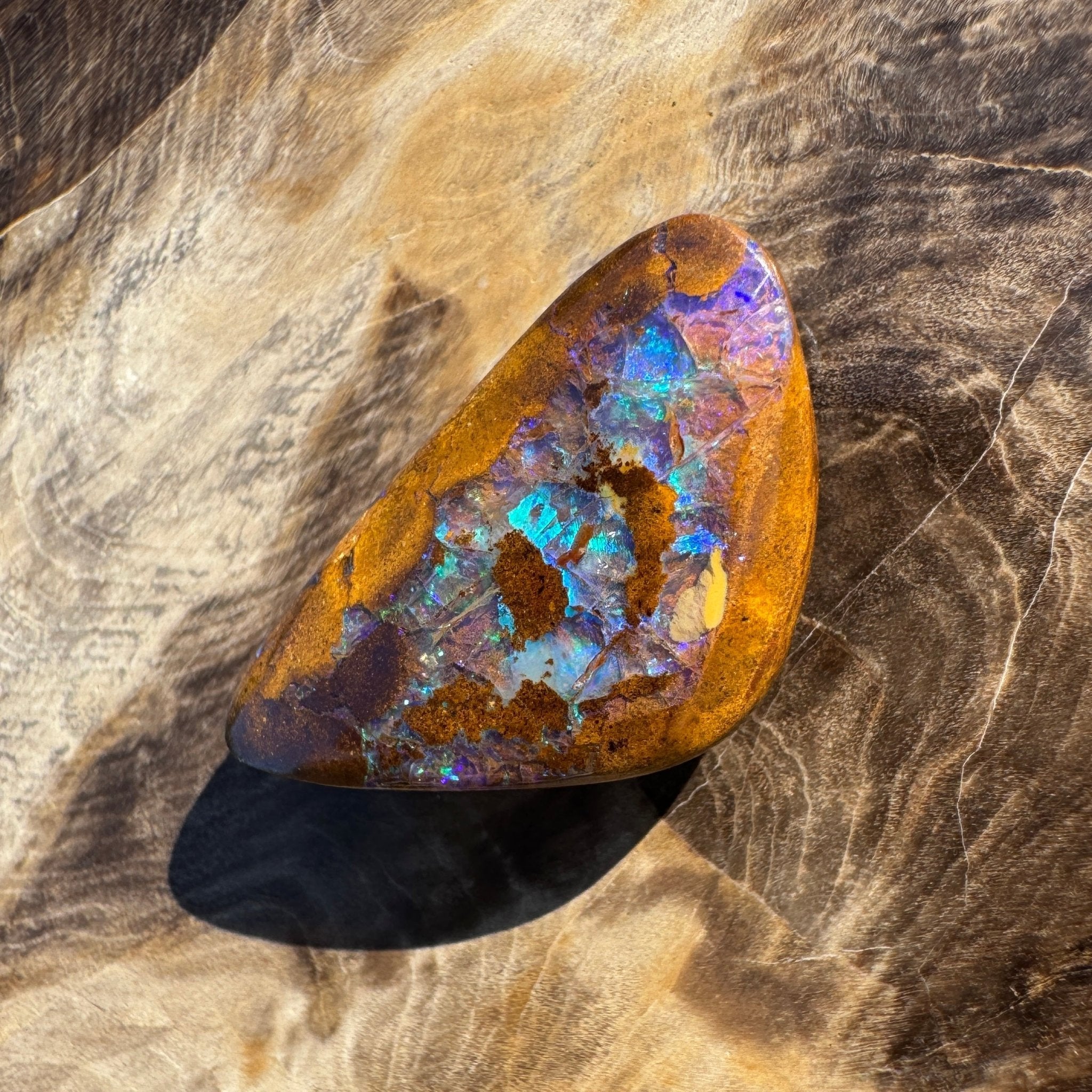 19.6ct Solid Queensland Boulder Opal