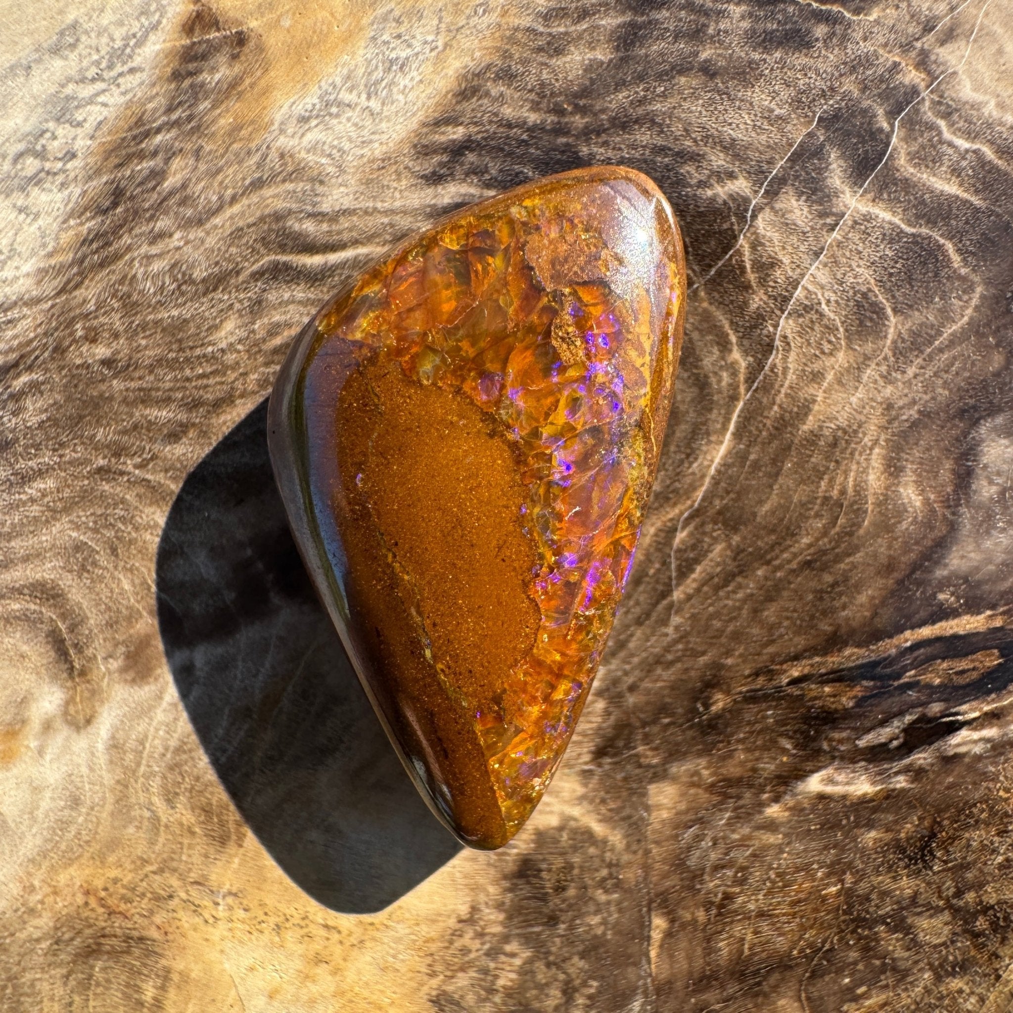 19.6ct Solid Queensland Boulder Opal