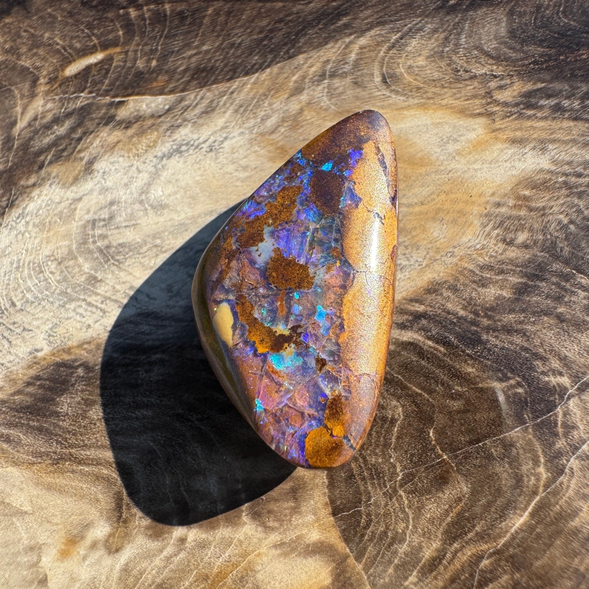 19.6ct Solid Queensland Boulder Opal