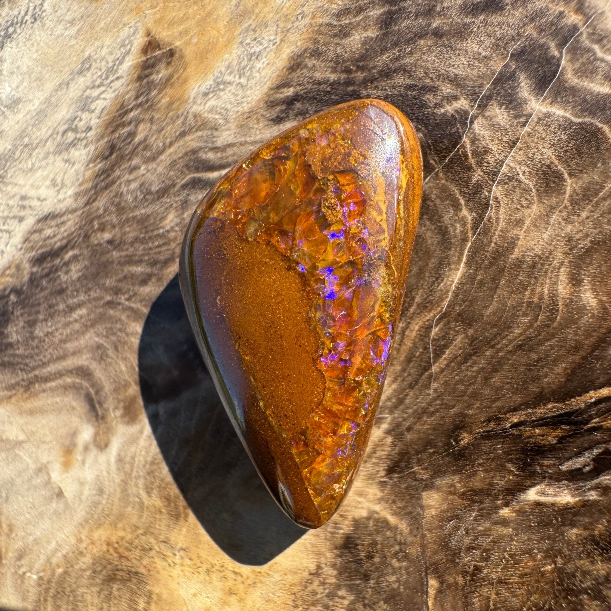 19.6ct Solid Queensland Boulder Opal
