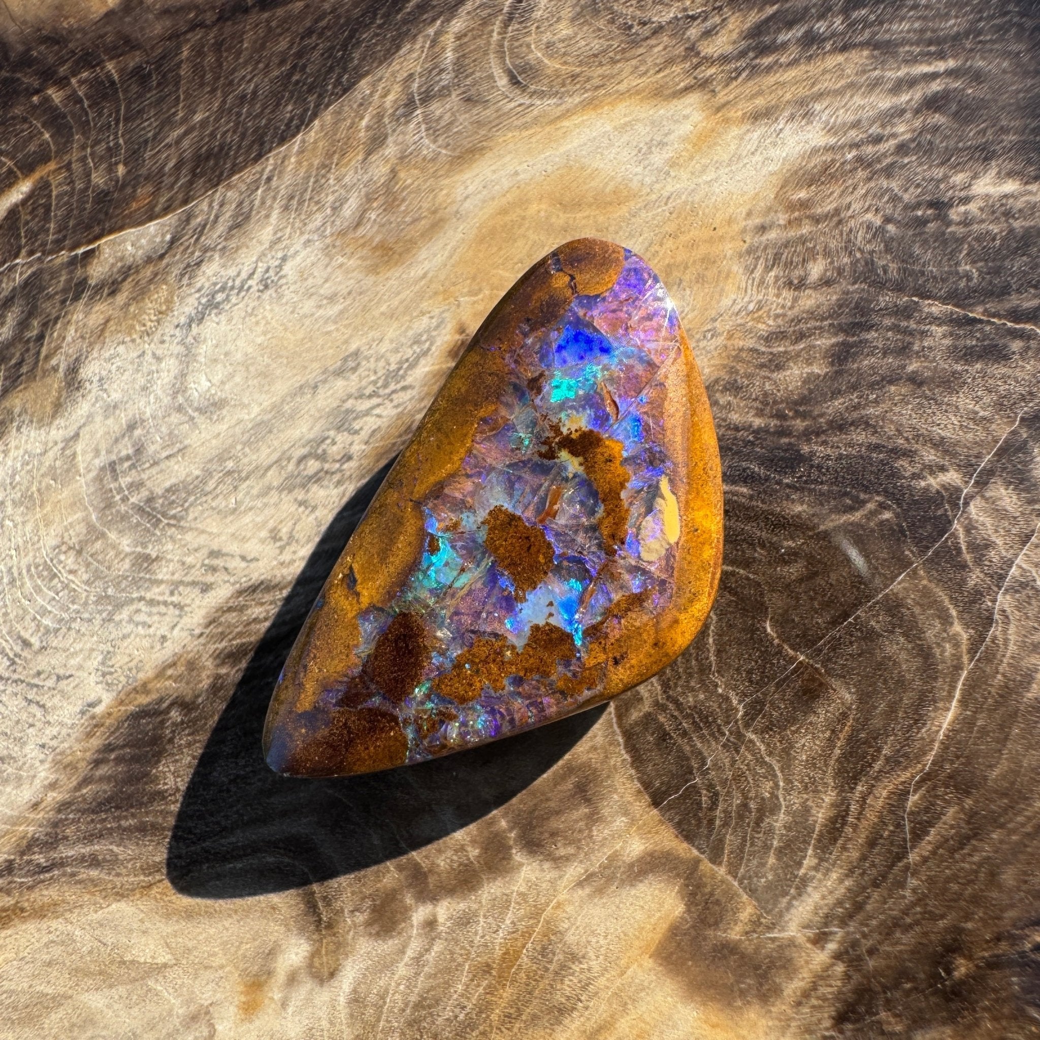 19.6ct Solid Queensland Boulder Opal