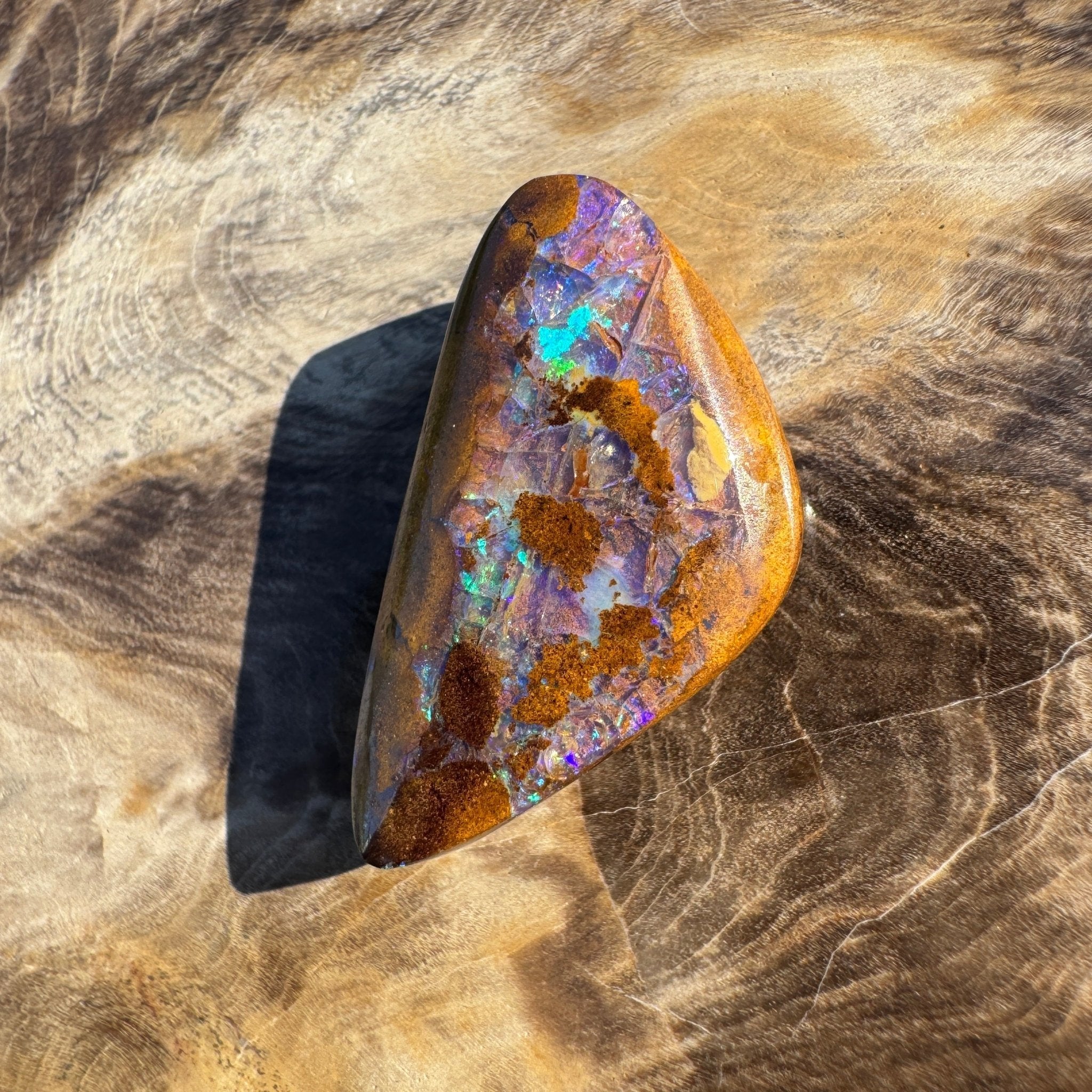 19.6ct Solid Queensland Boulder Opal