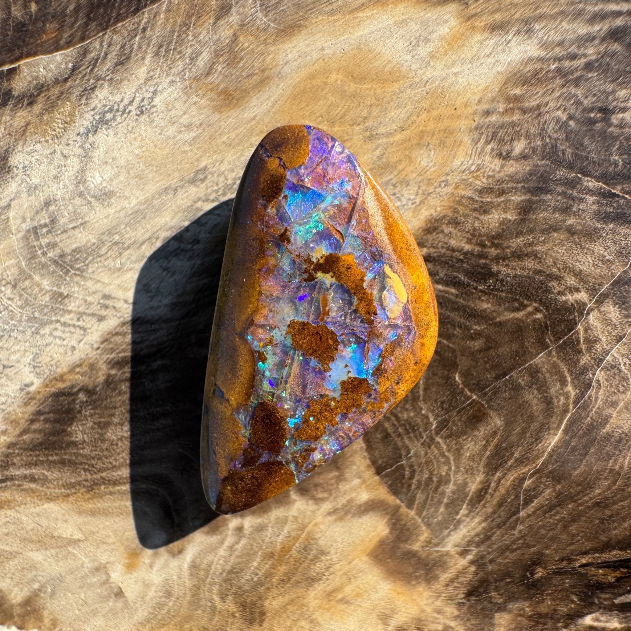 19.6ct Solid Queensland Boulder Opal