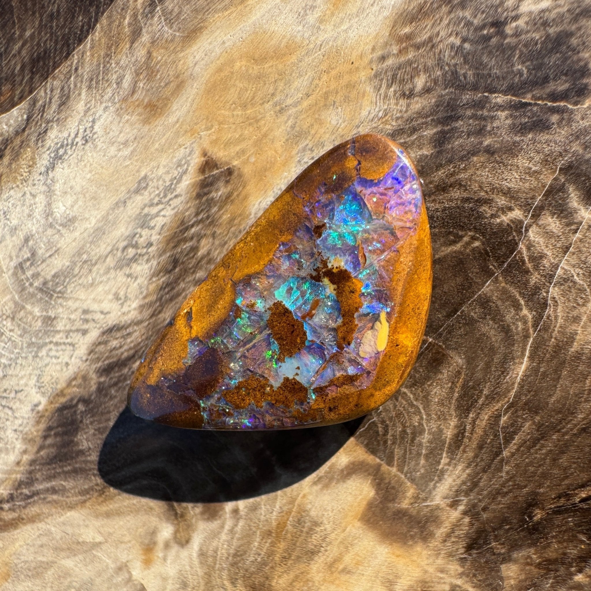 19.6ct Solid Queensland Boulder Opal