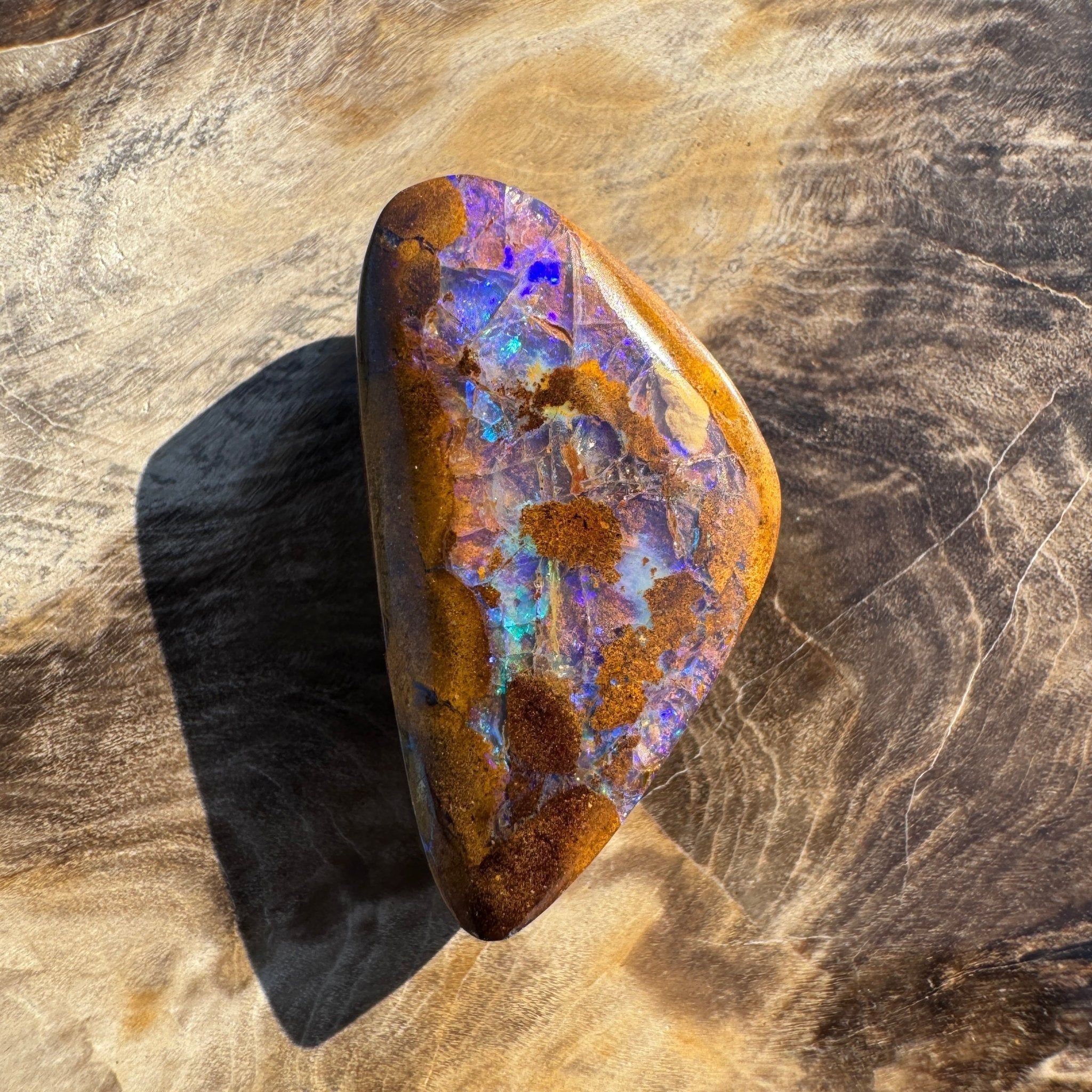 19.6ct Solid Queensland Boulder Opal