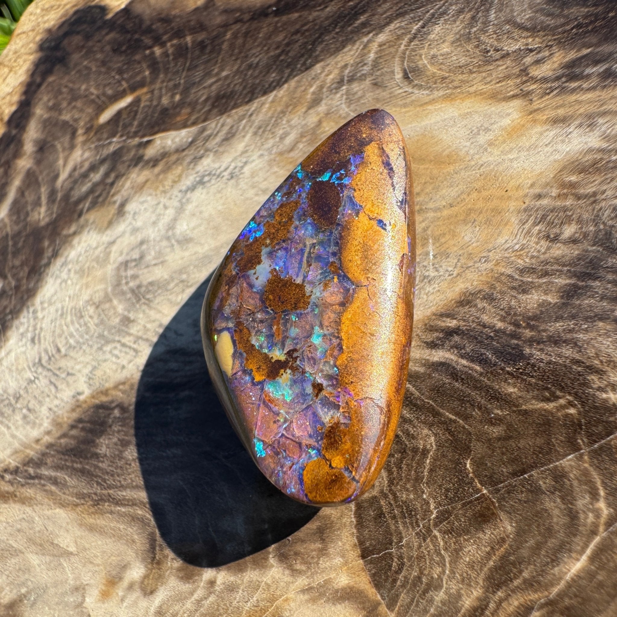 19.6ct Solid Queensland Boulder Opal