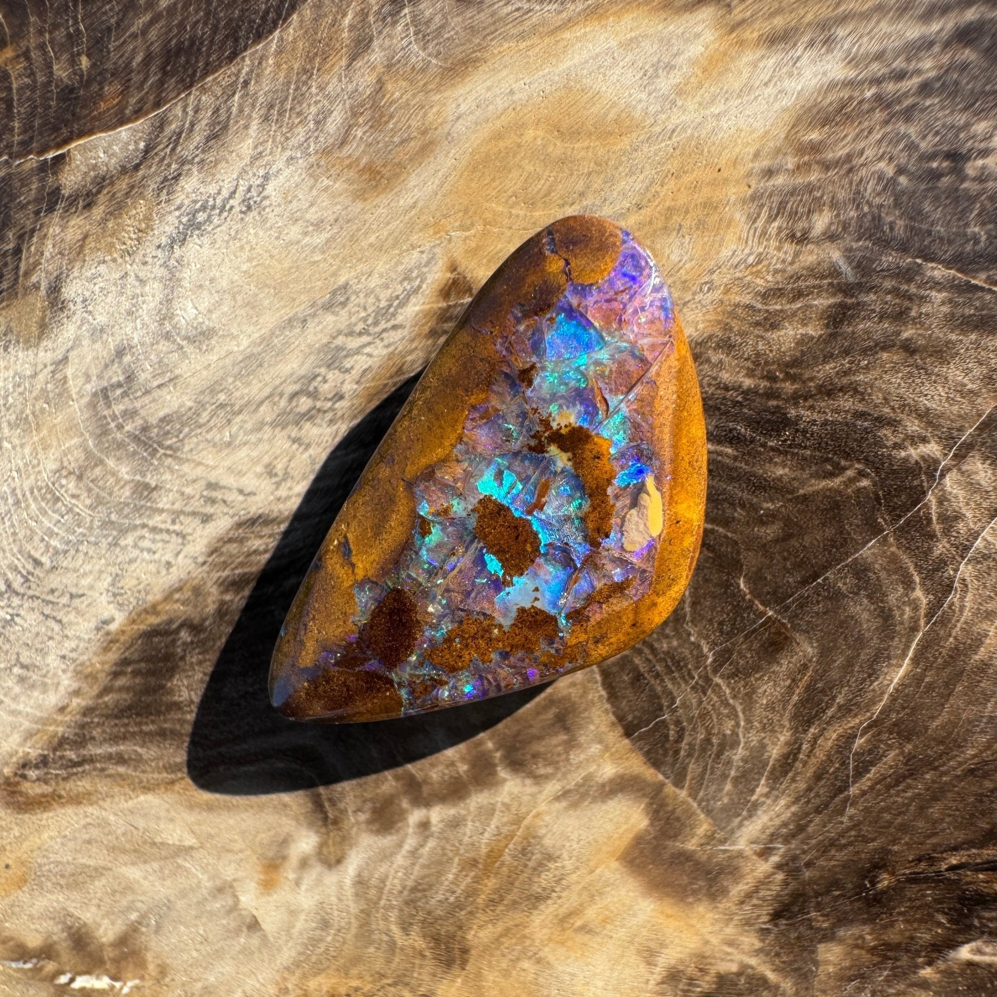 19.6ct Solid Queensland Boulder Opal