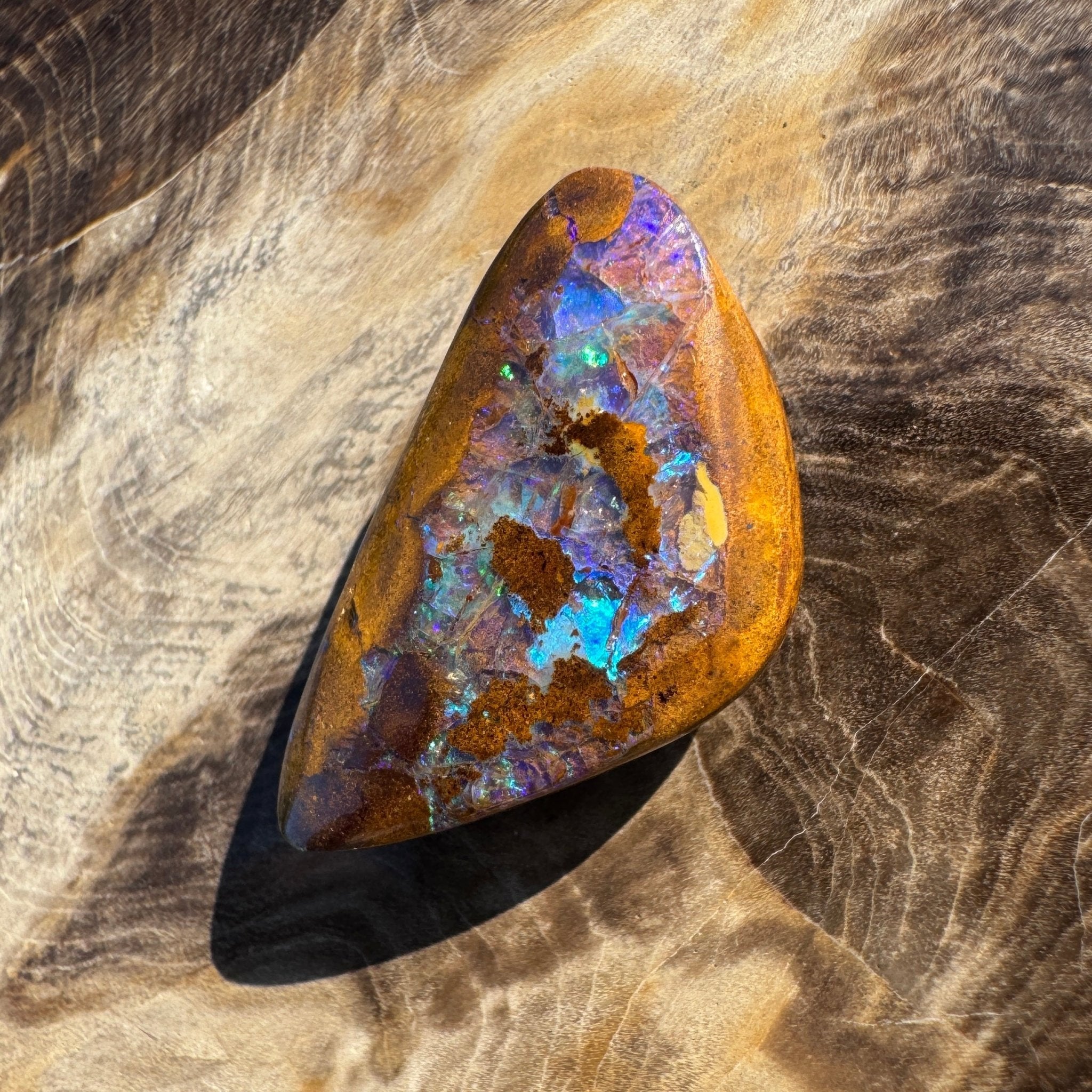 19.6ct Solid Queensland Boulder Opal
