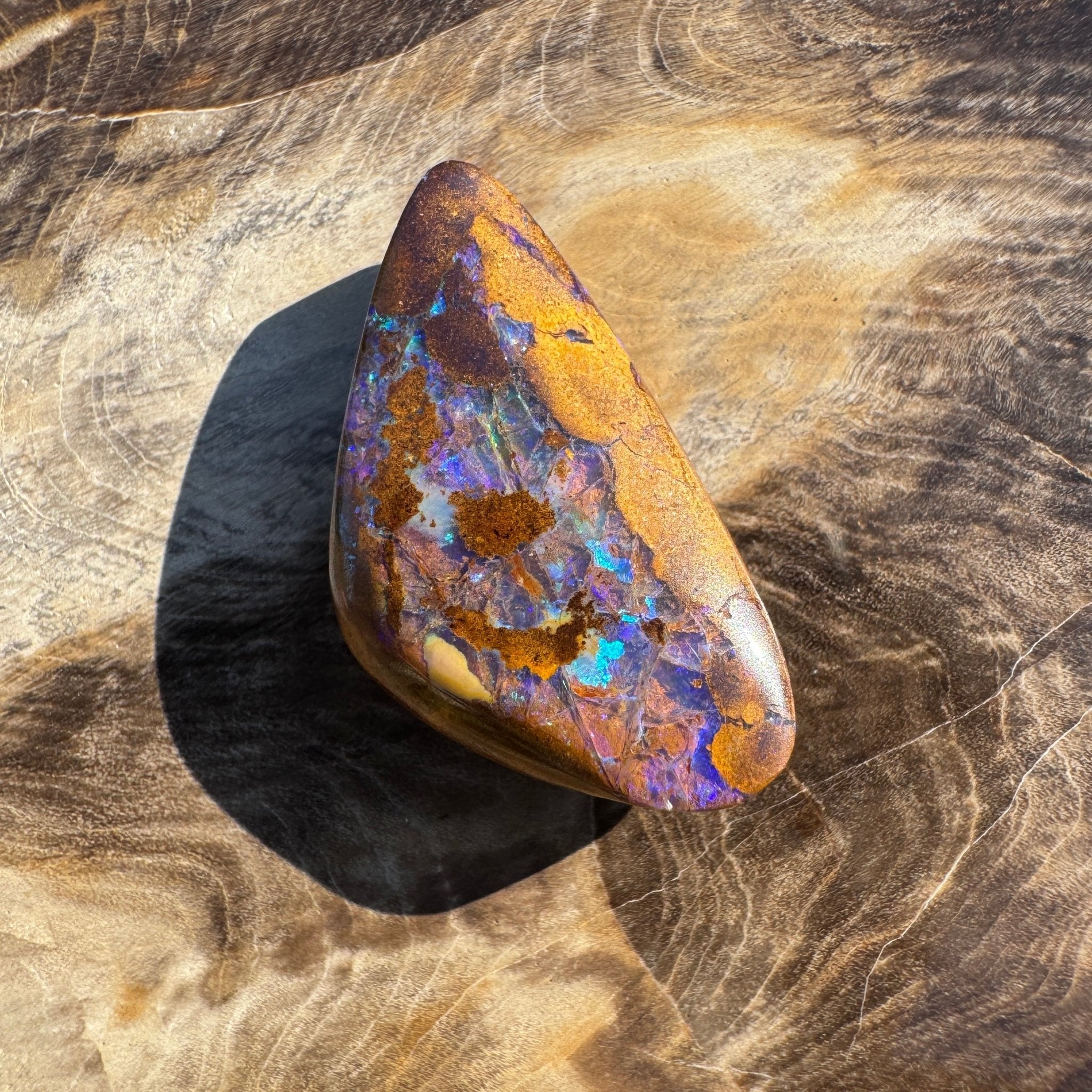 19.6ct Solid Queensland Boulder Opal