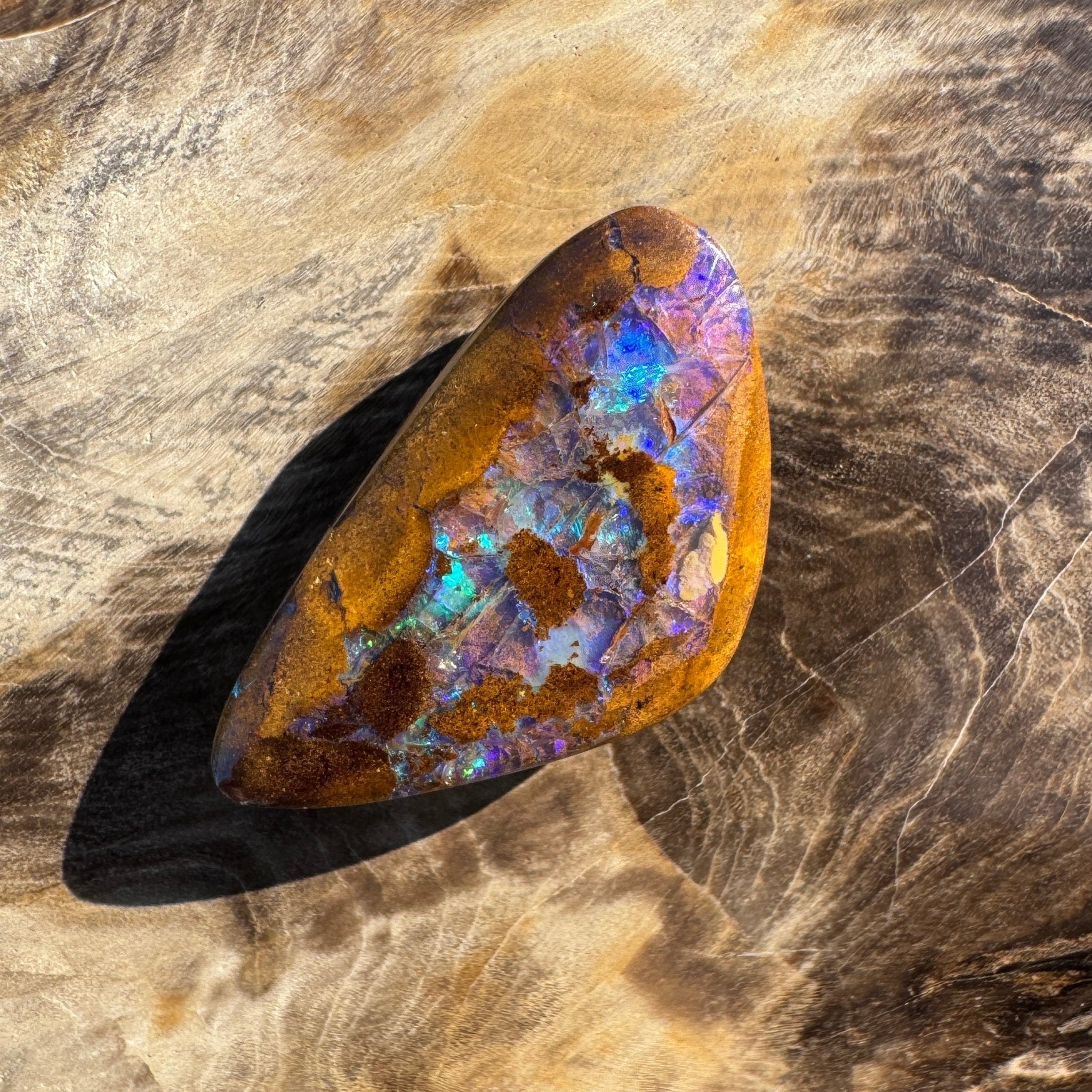 19.6ct Solid Queensland Boulder Opal