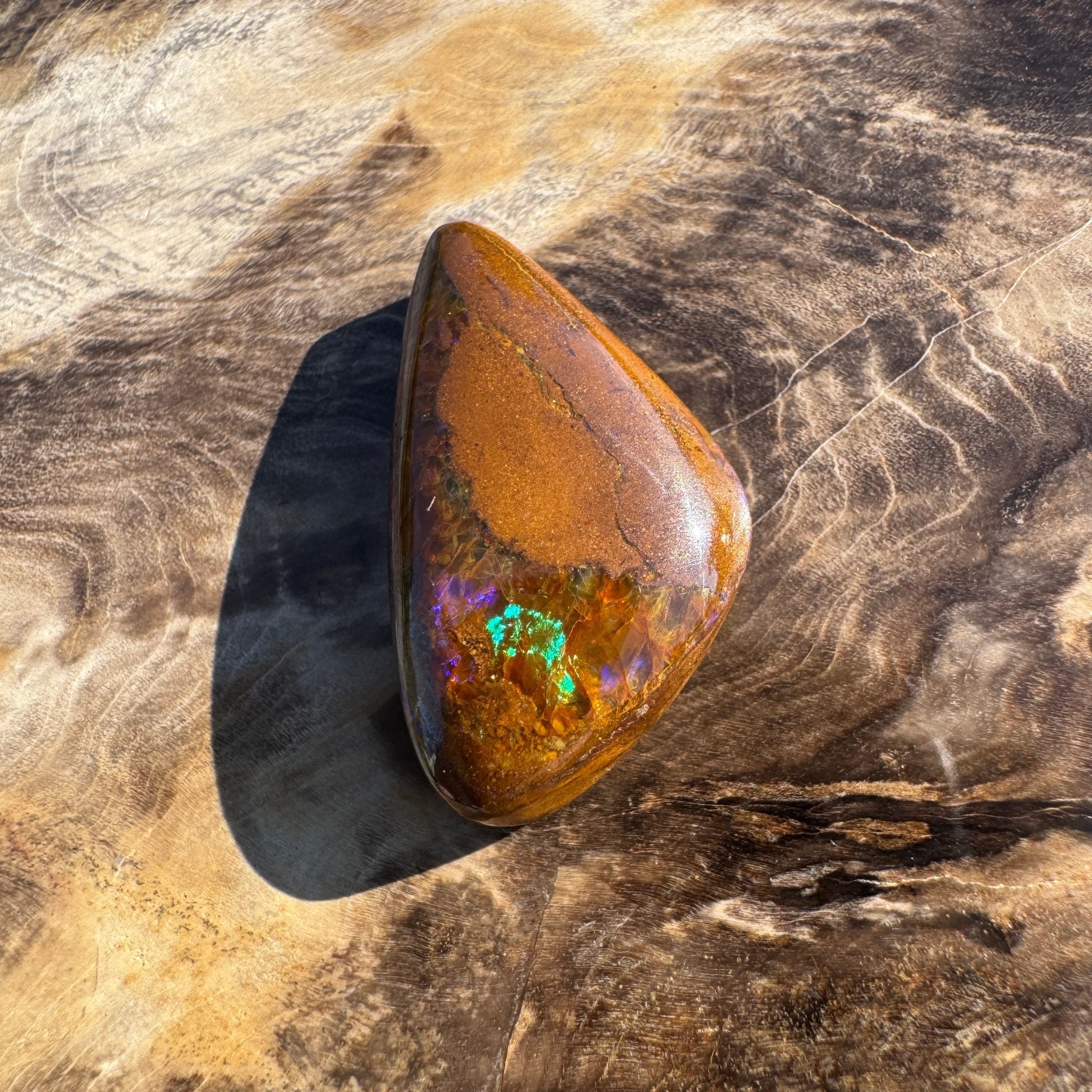 19.6ct Solid Queensland Boulder Opal