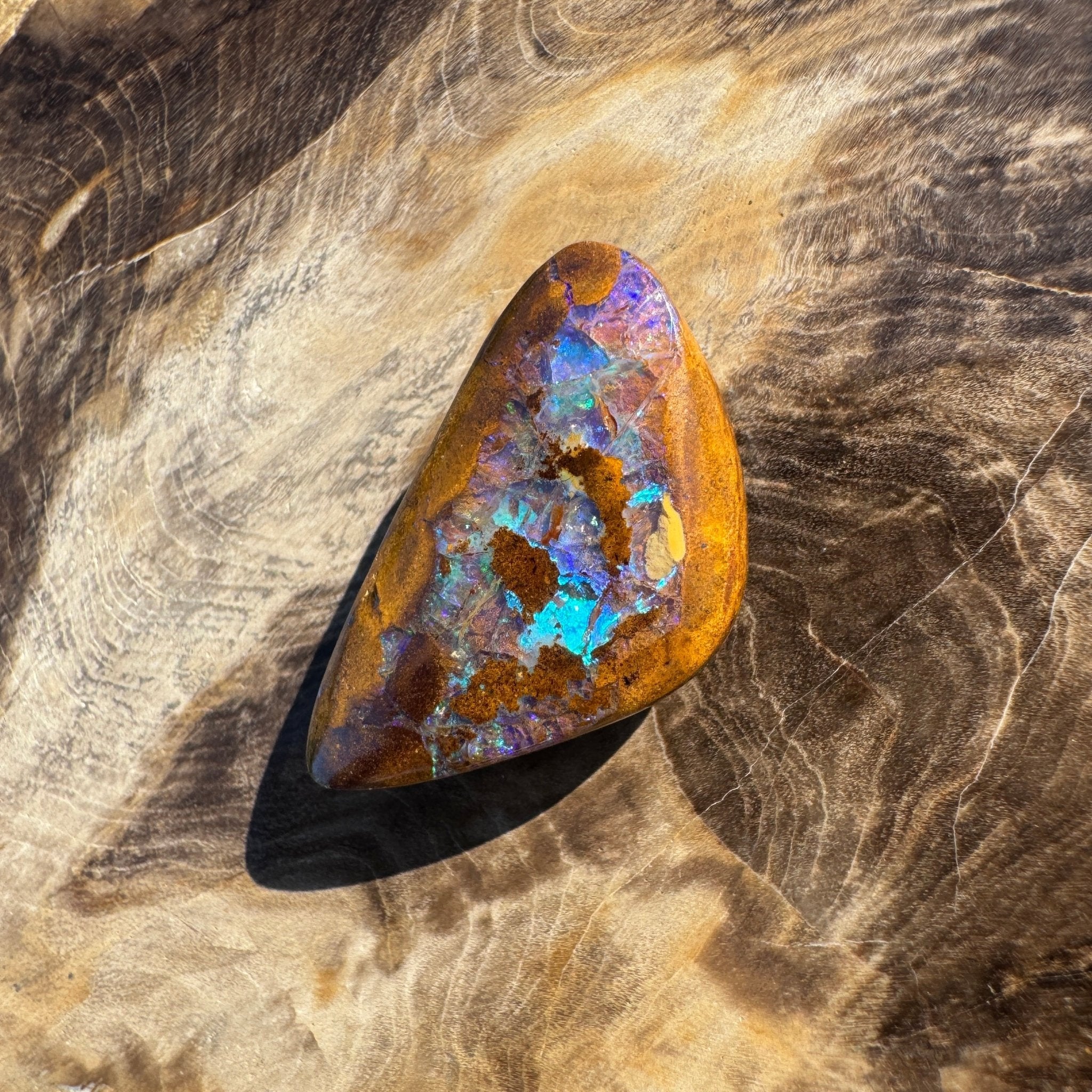 19.6ct Solid Queensland Boulder Opal