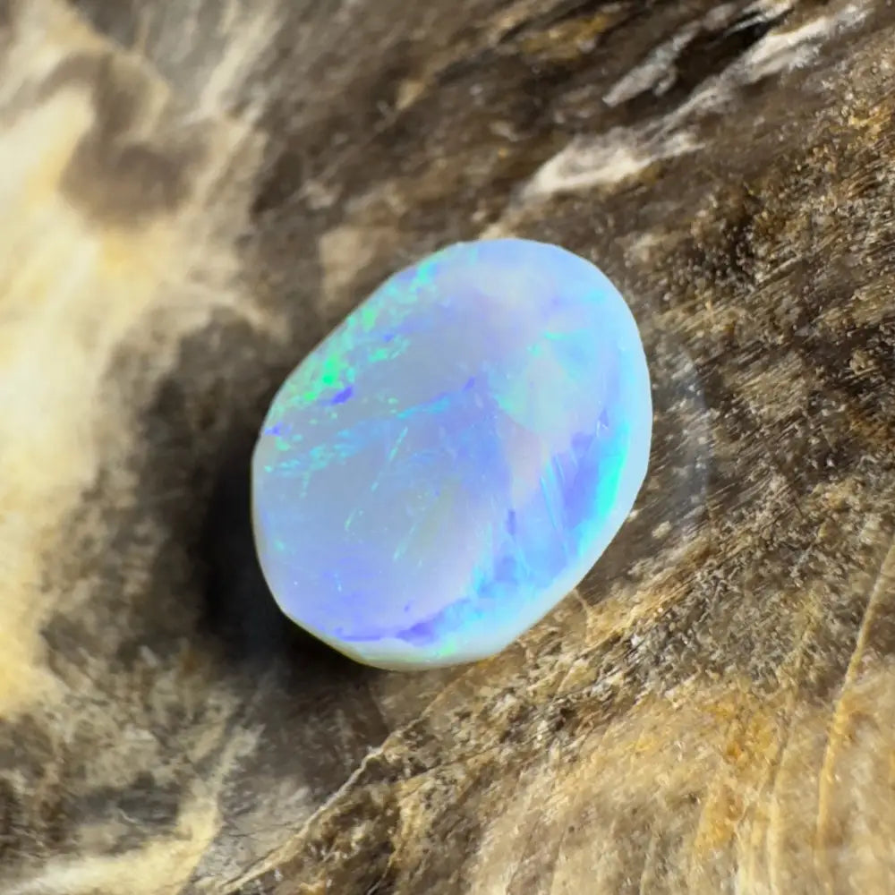 Polished opal with iridescent colors.