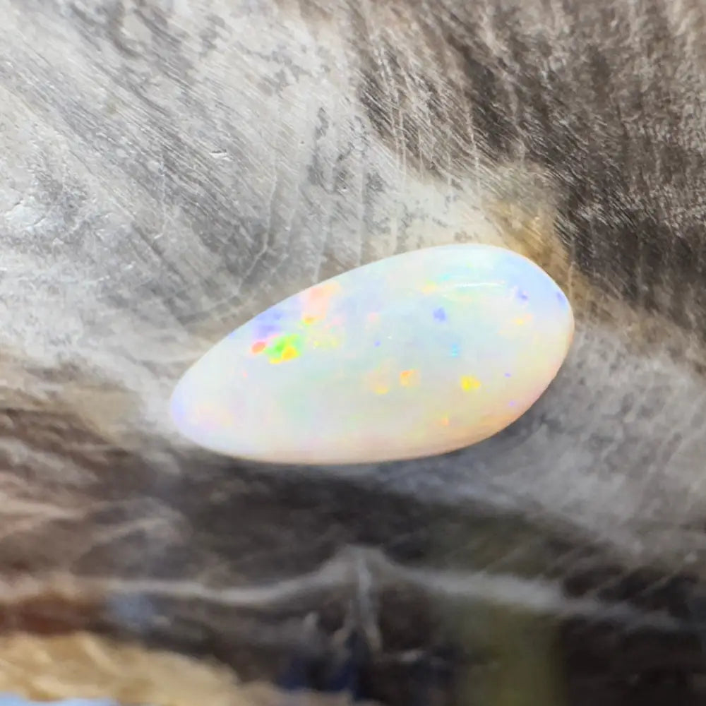 Oval opal gemstone with iridescent play-of-color.
