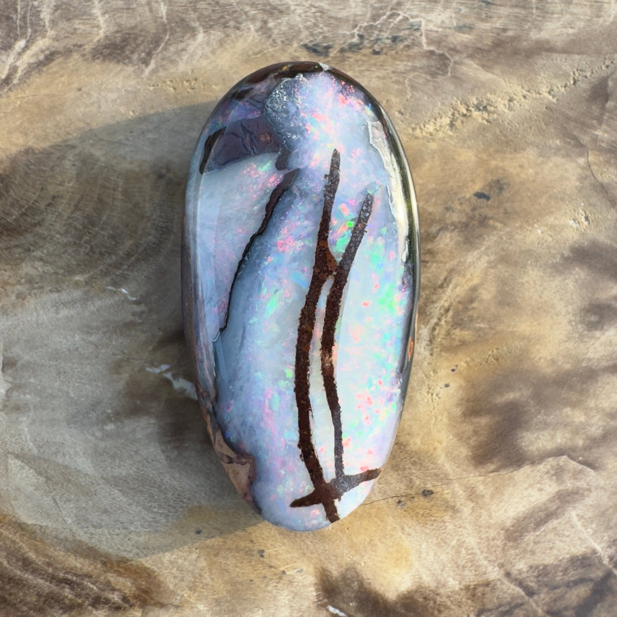 20.3ct Solid Queensland Boulder Opal