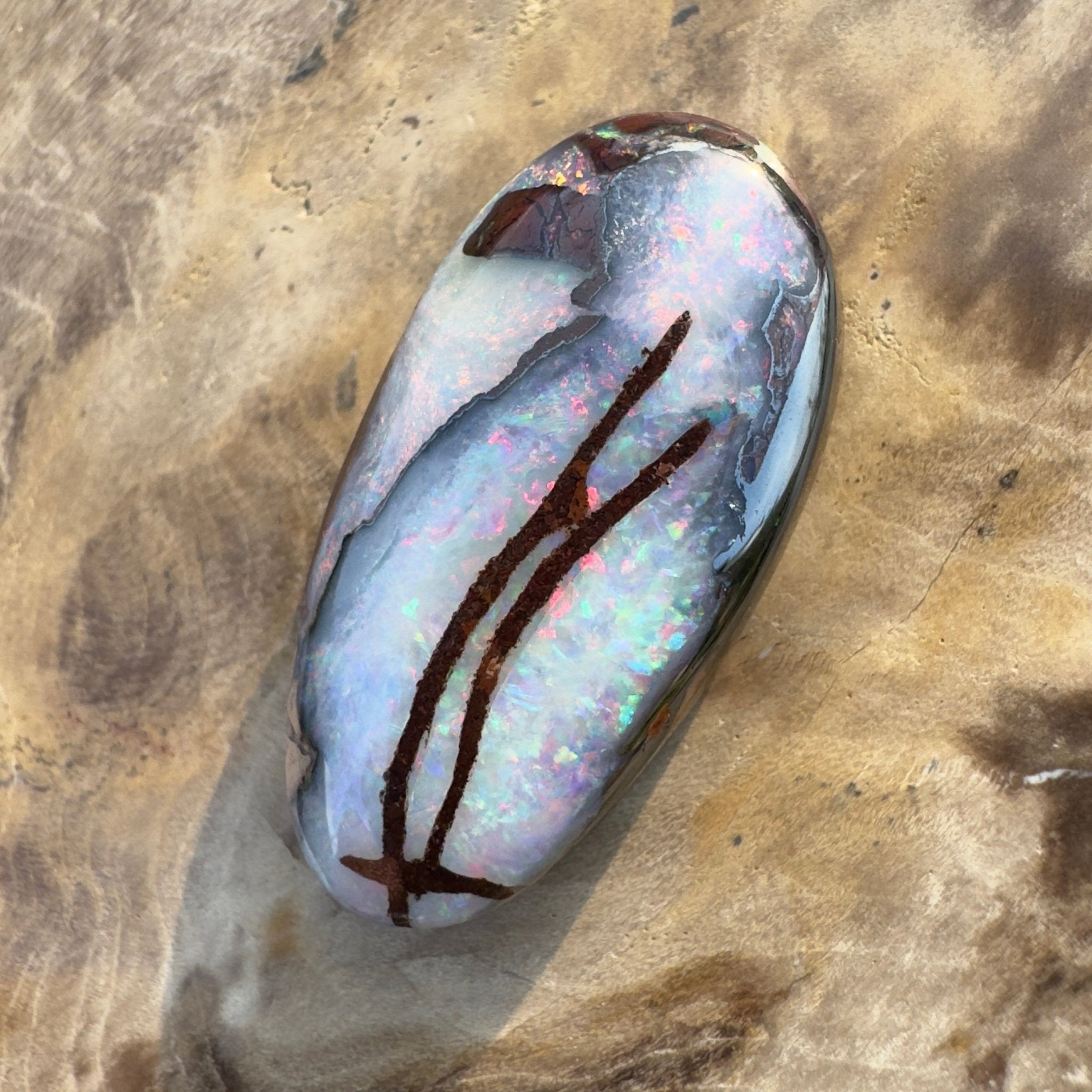 20.3ct Solid Queensland Boulder Opal