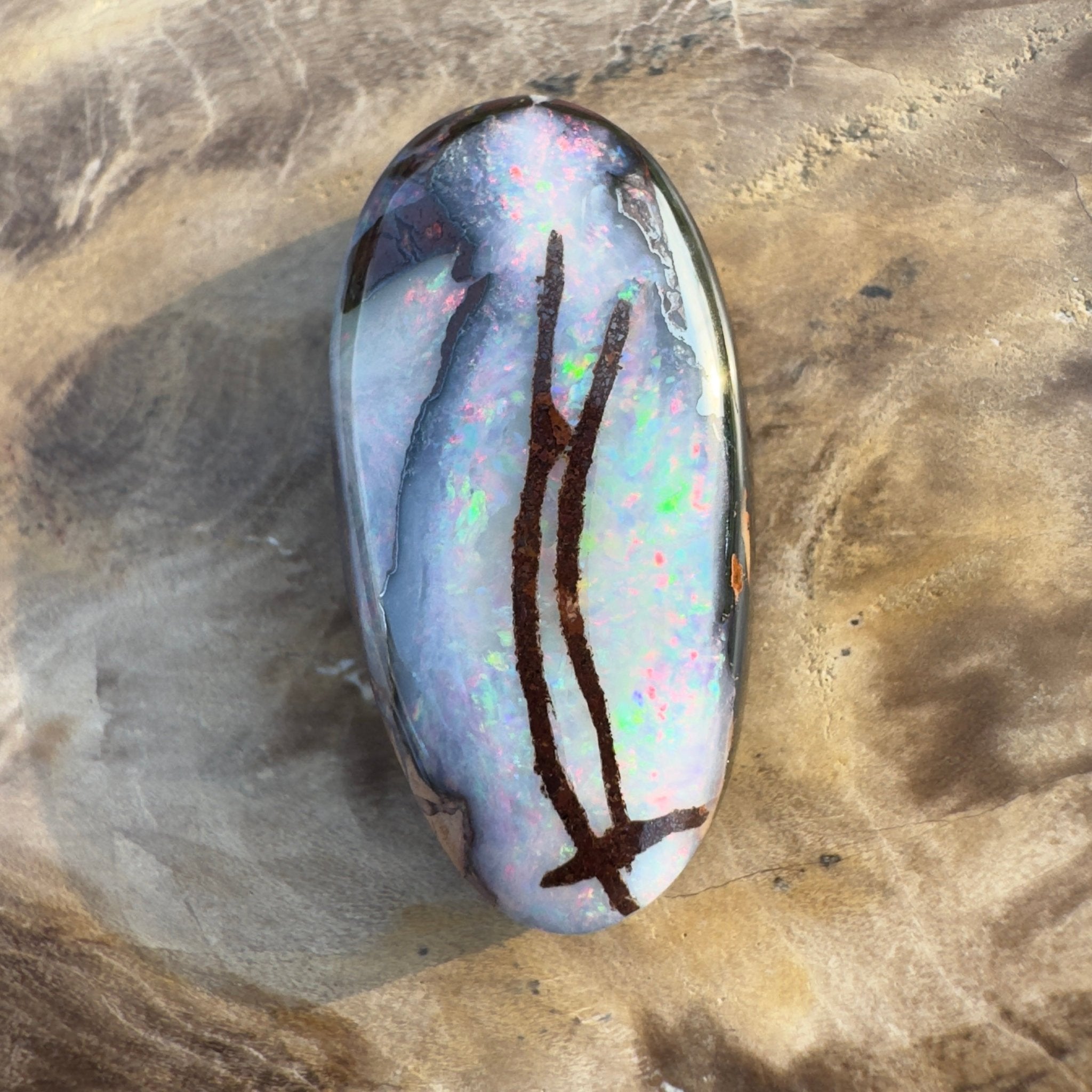 20.3ct Solid Queensland Boulder Opal
