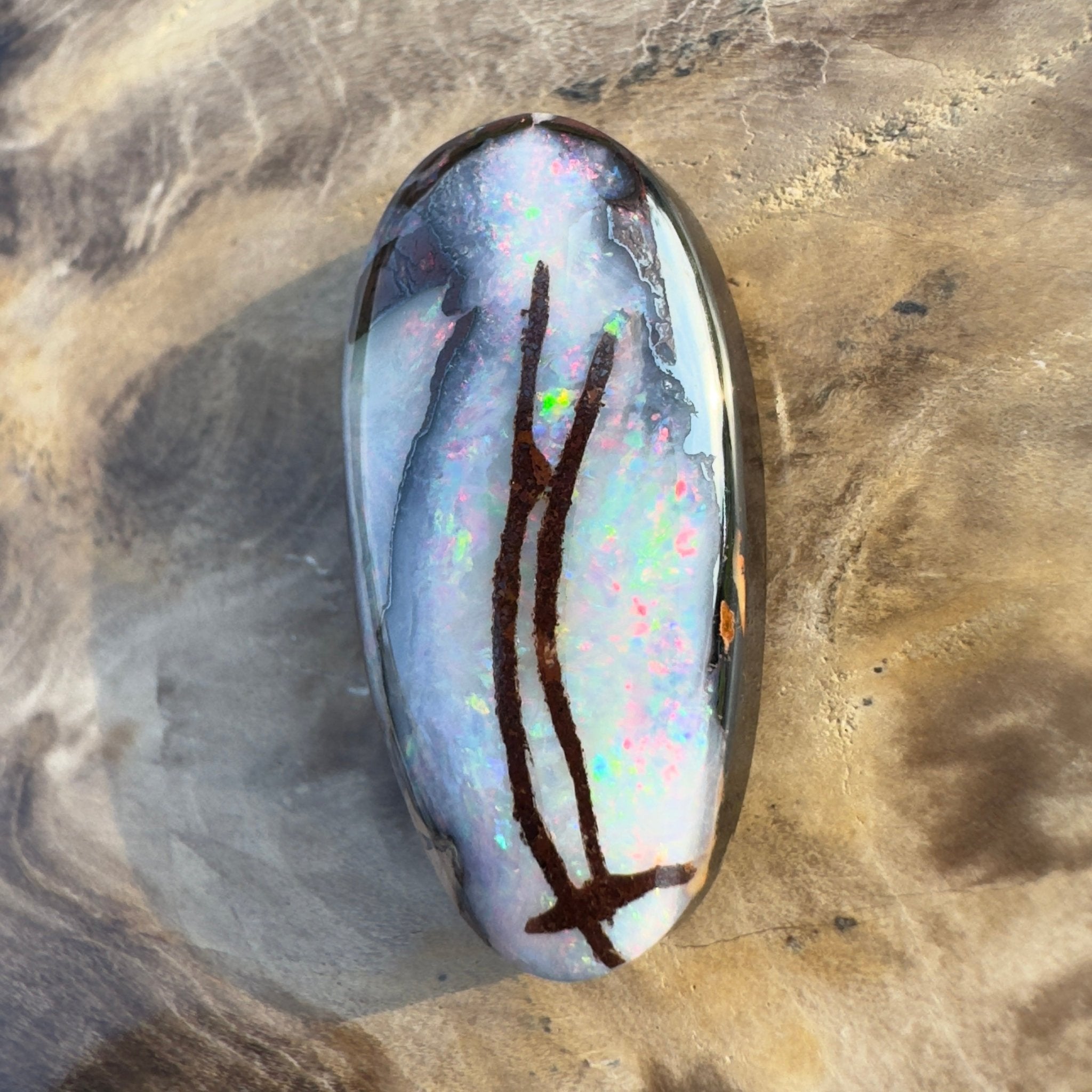 20.3ct Solid Queensland Boulder Opal