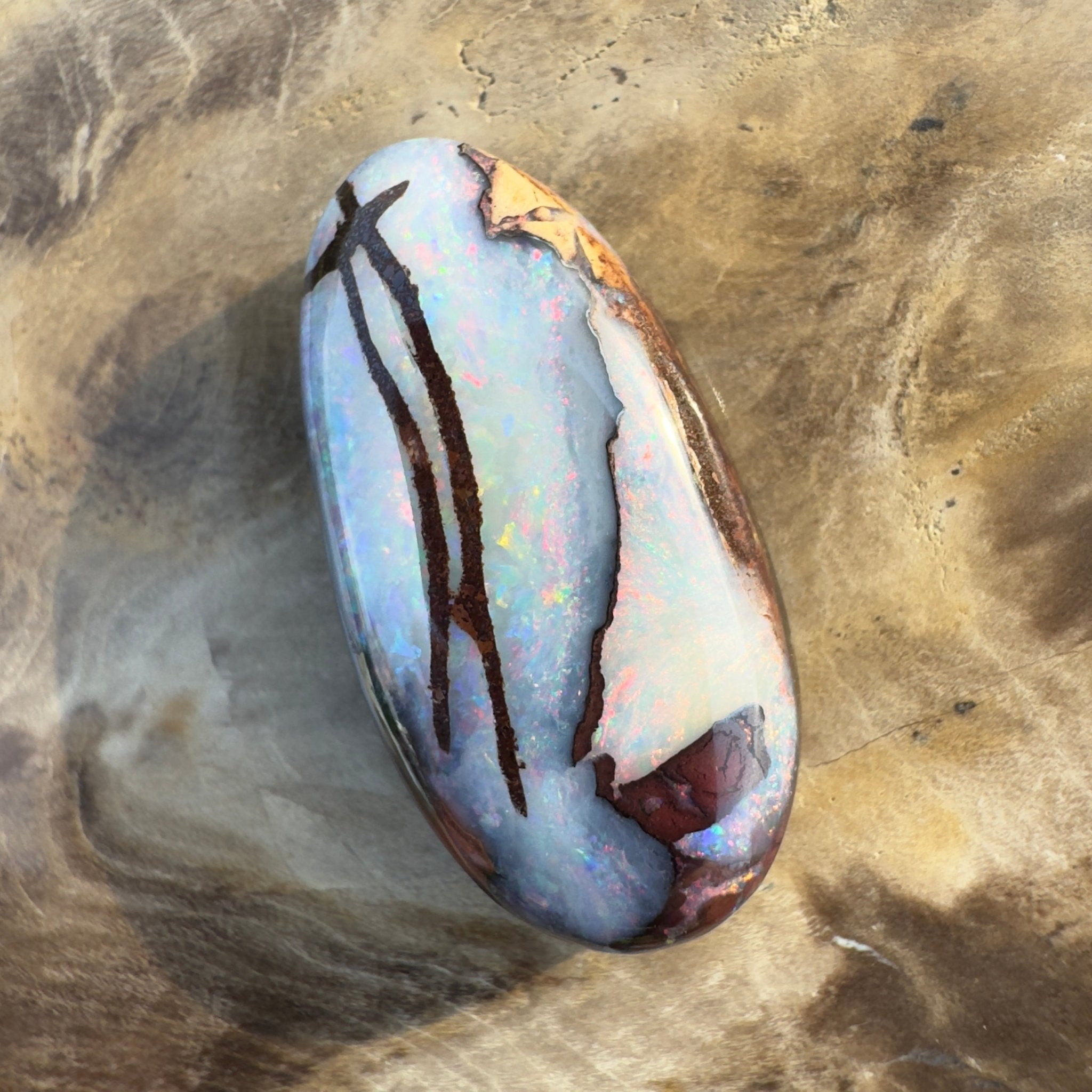 20.3ct Solid Queensland Boulder Opal