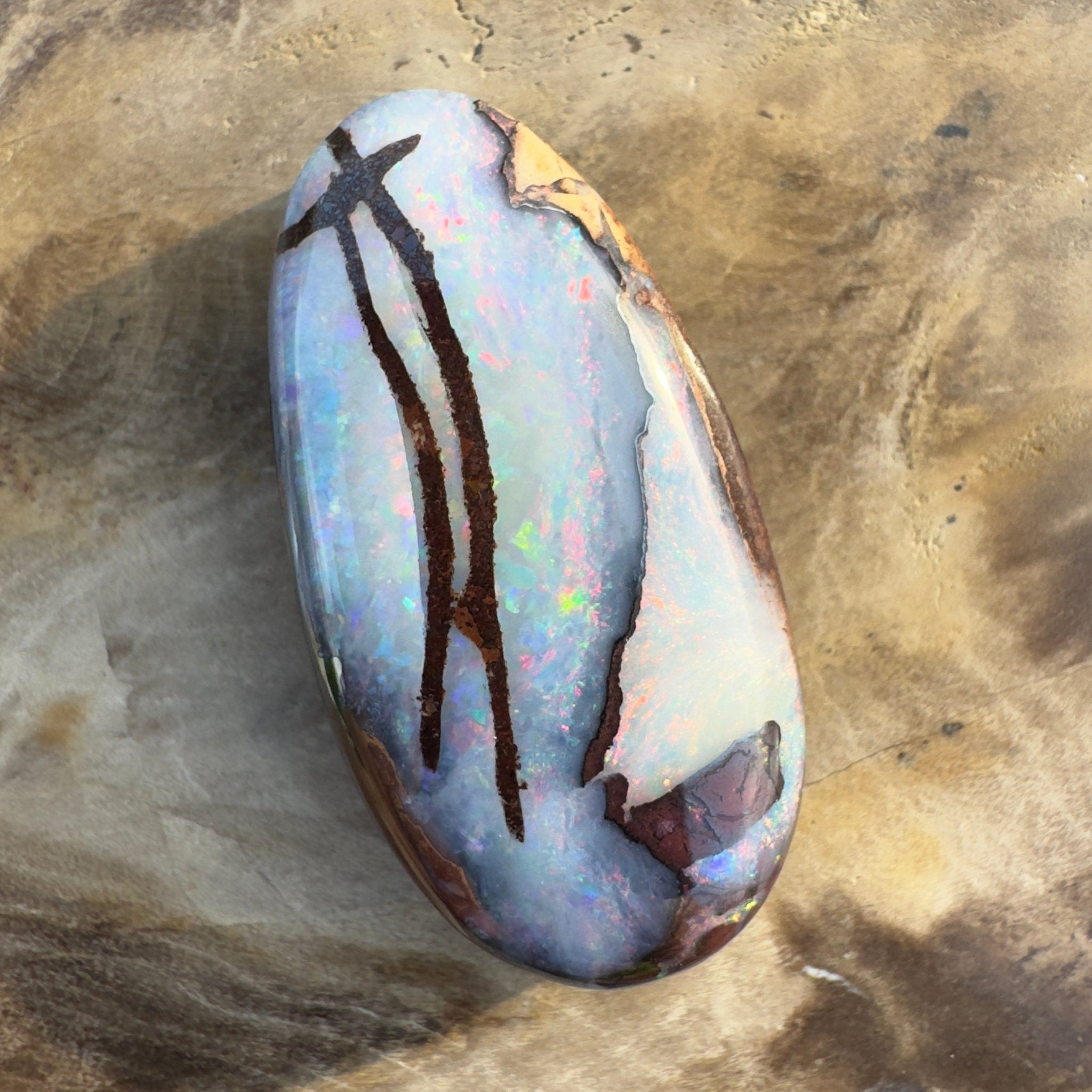 20.3ct Solid Queensland Boulder Opal