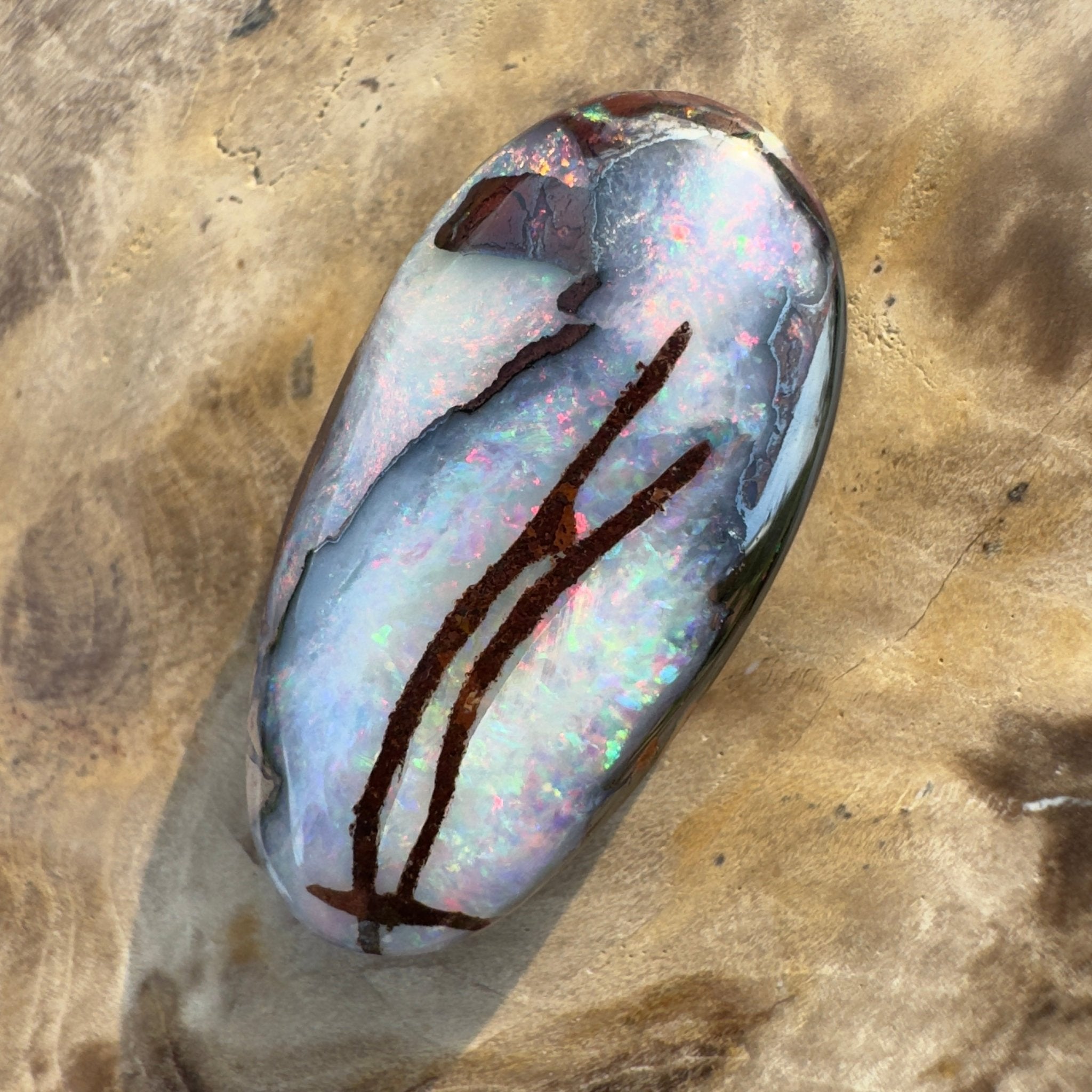 20.3ct Solid Queensland Boulder Opal