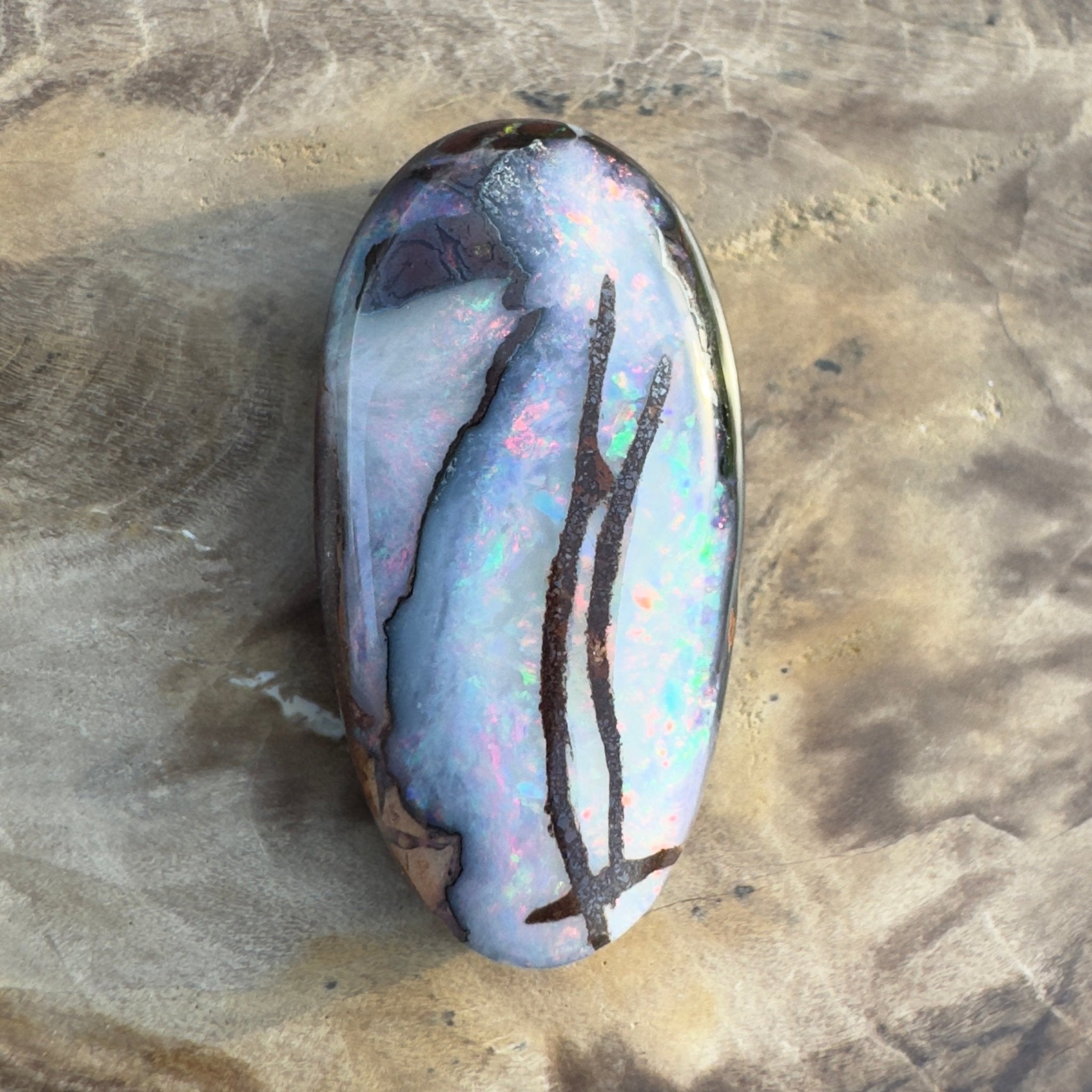 20.3ct Solid Queensland Boulder Opal