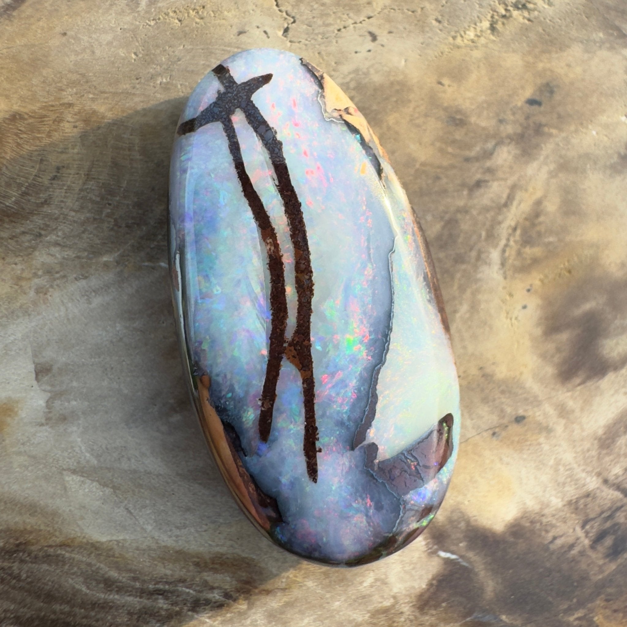 20.3ct Solid Queensland Boulder Opal