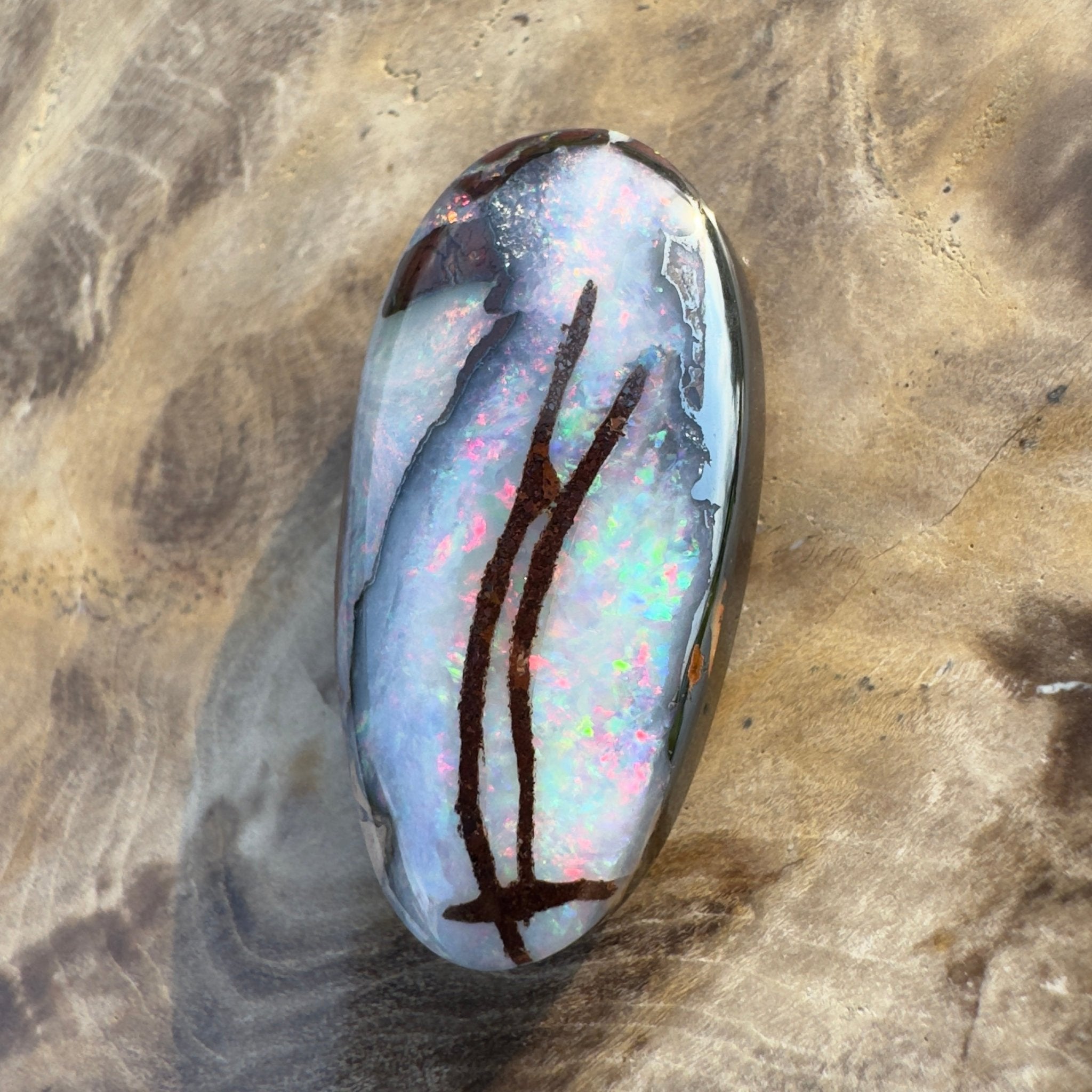 20.3ct Solid Queensland Boulder Opal