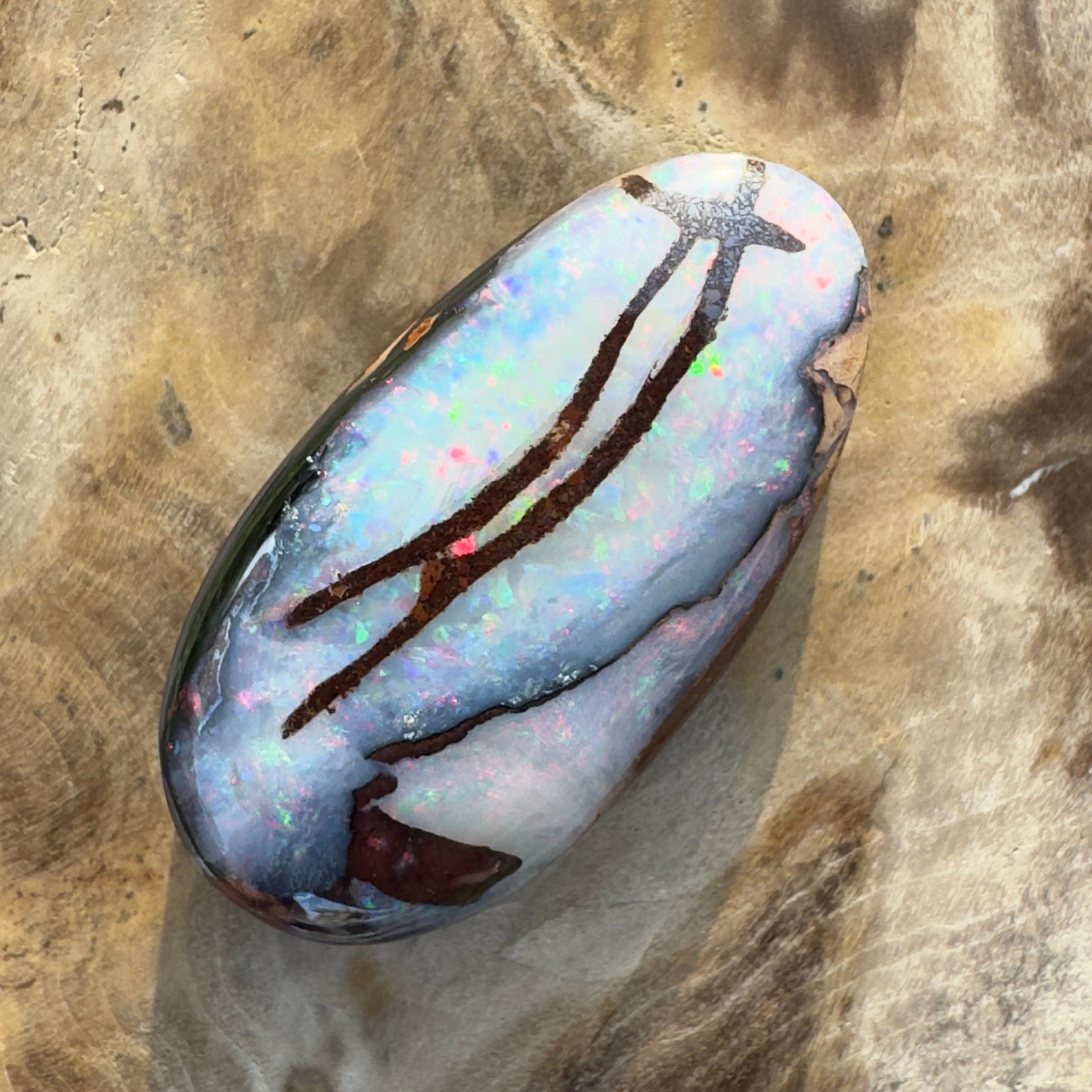 20.3ct Solid Queensland Boulder Opal