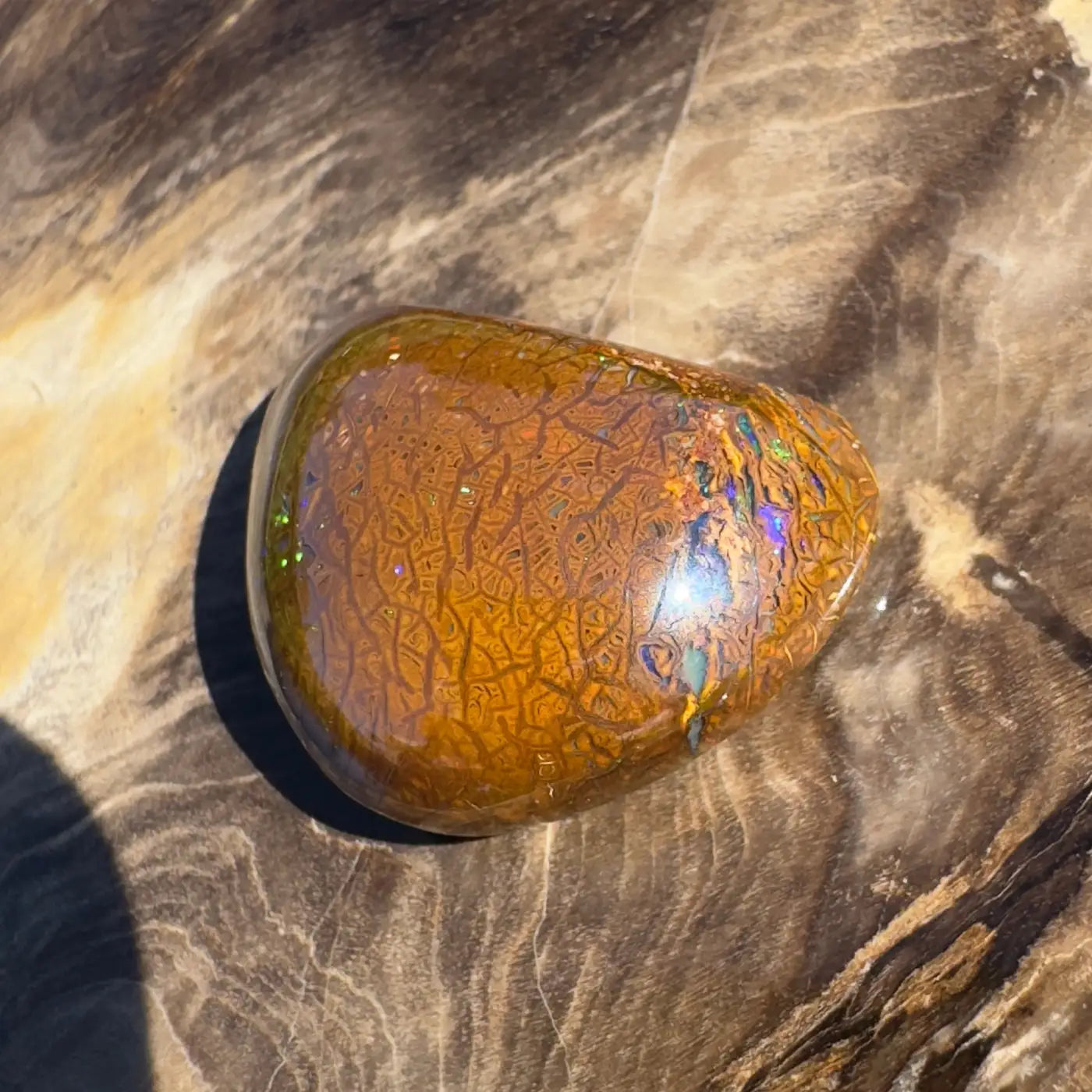 Polished Boulder Opal with iridescent flashes in a 24.6ct hand-cut solid gemstone