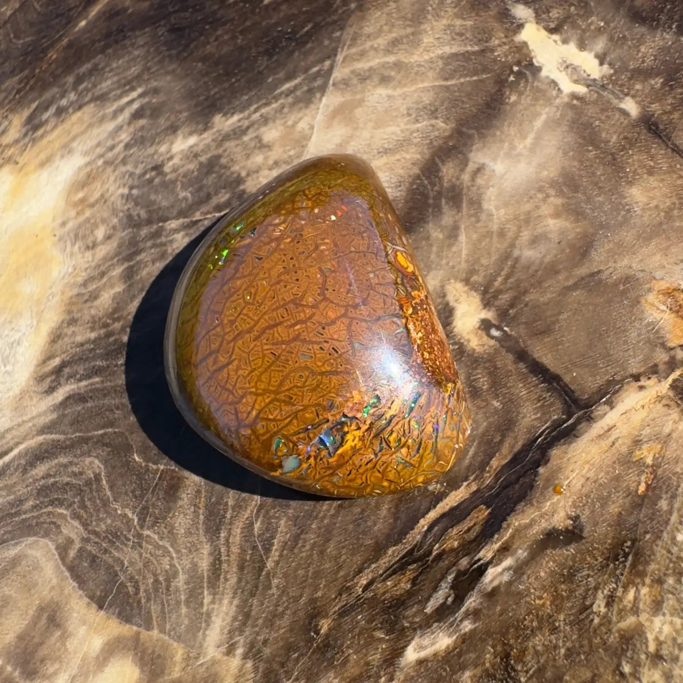 Polished Boulder Opal displaying vibrant color play in a 24.6ct hand-cut solid specimen
