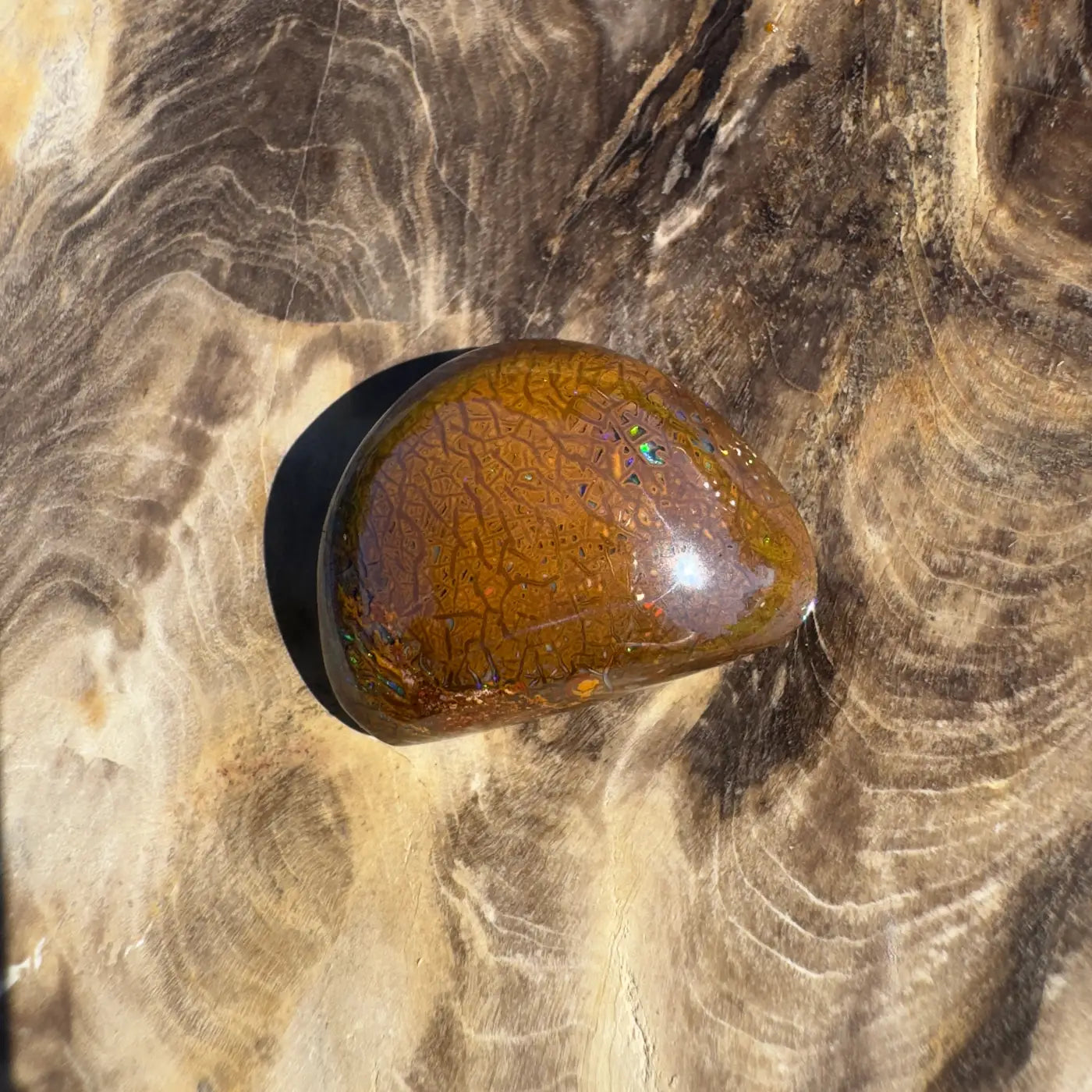 Polished brown dragon skin opal from 24.6ct Hand-Cut Solid Boulder Opal exhibit