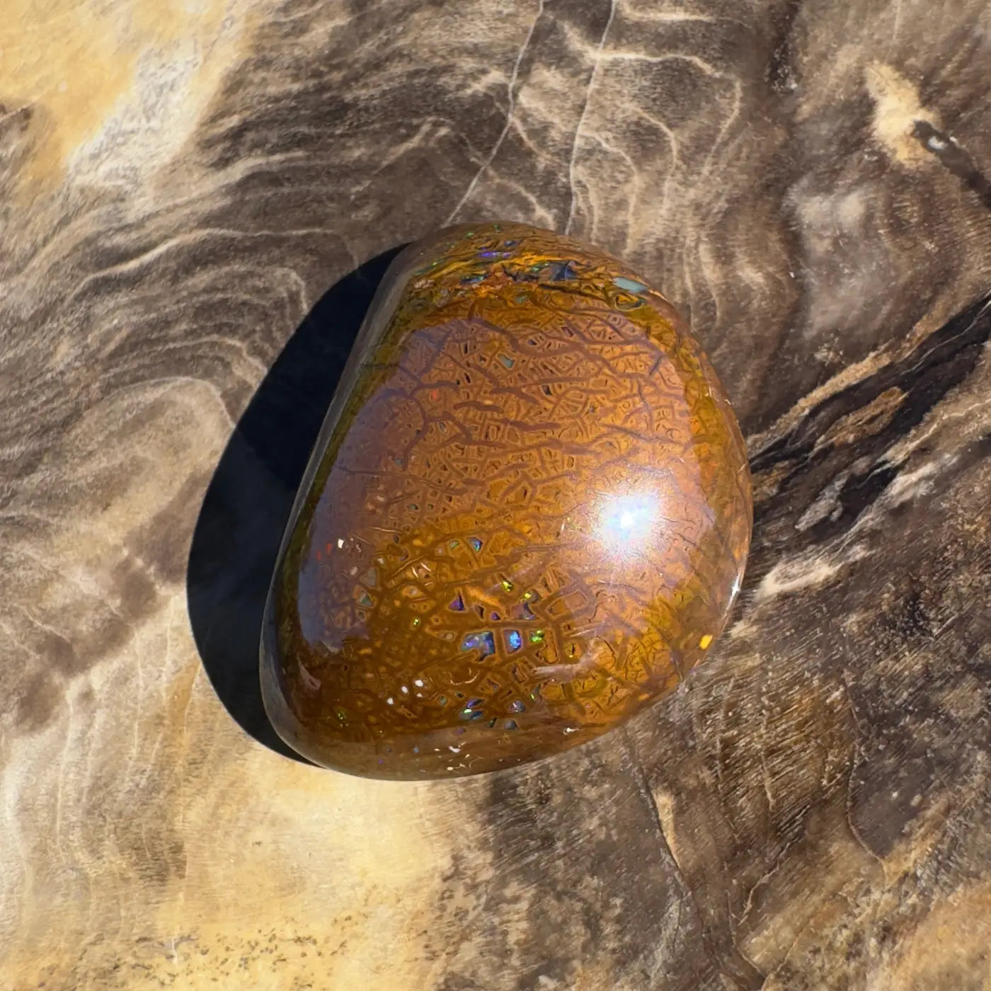 Polished brown Boulder Opal with iridescent inclusions weighing 24.6 carats