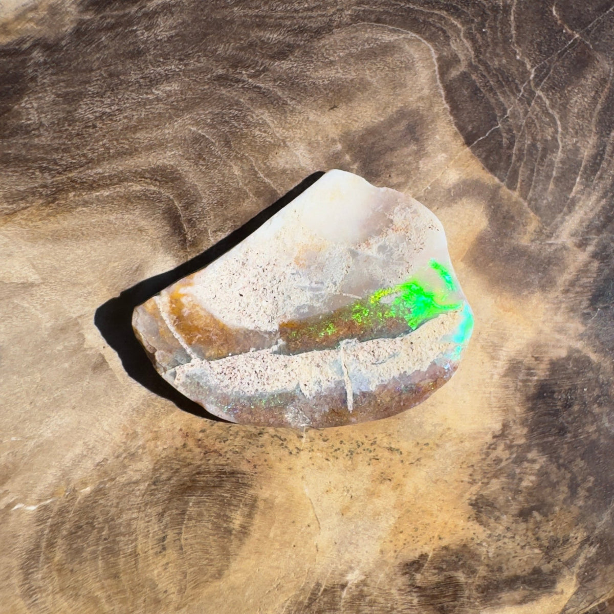 2.8ct Coober Pedy Fossil Specimen | Solid Australian Opal