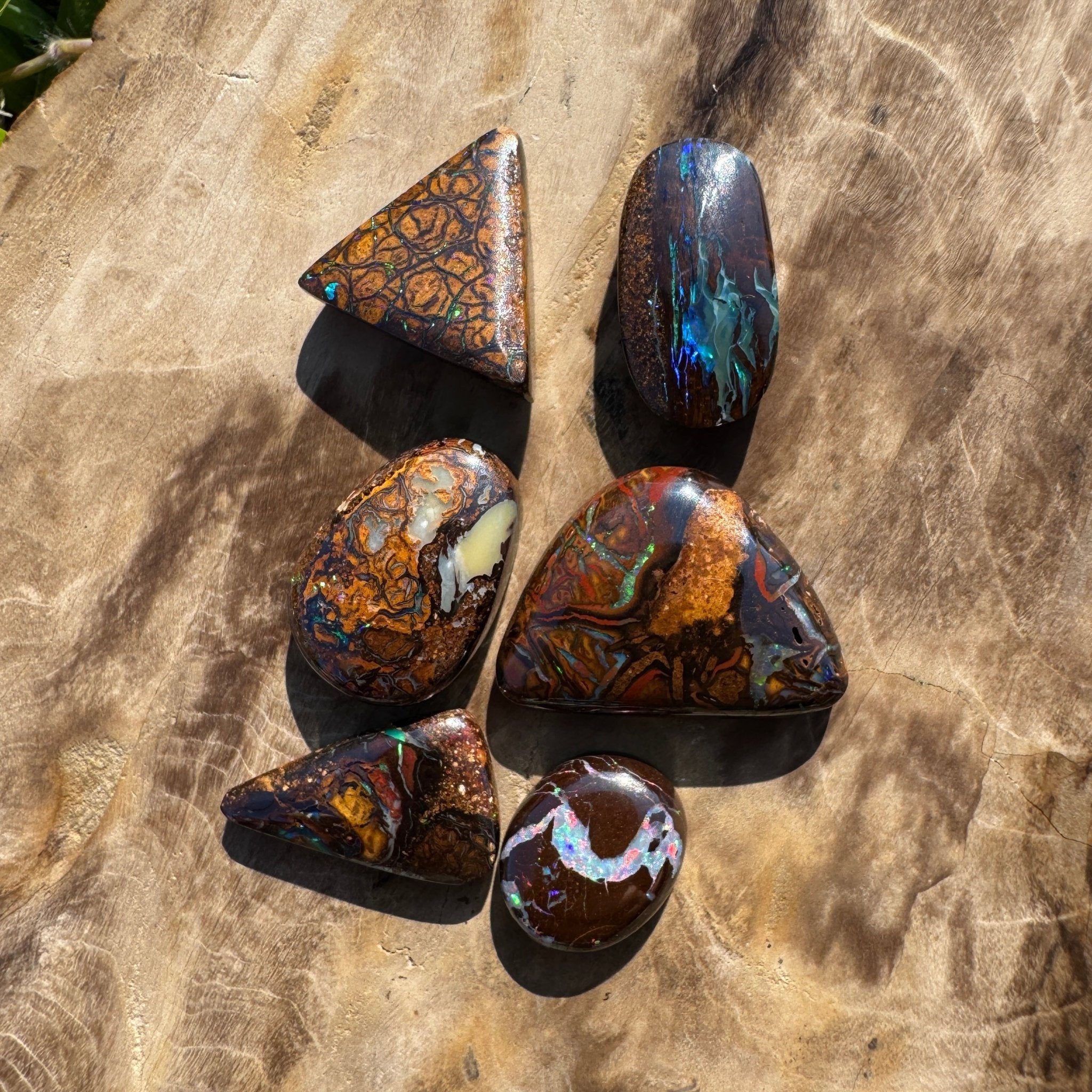 33.7ct Queensland Boulder Opal Parcel