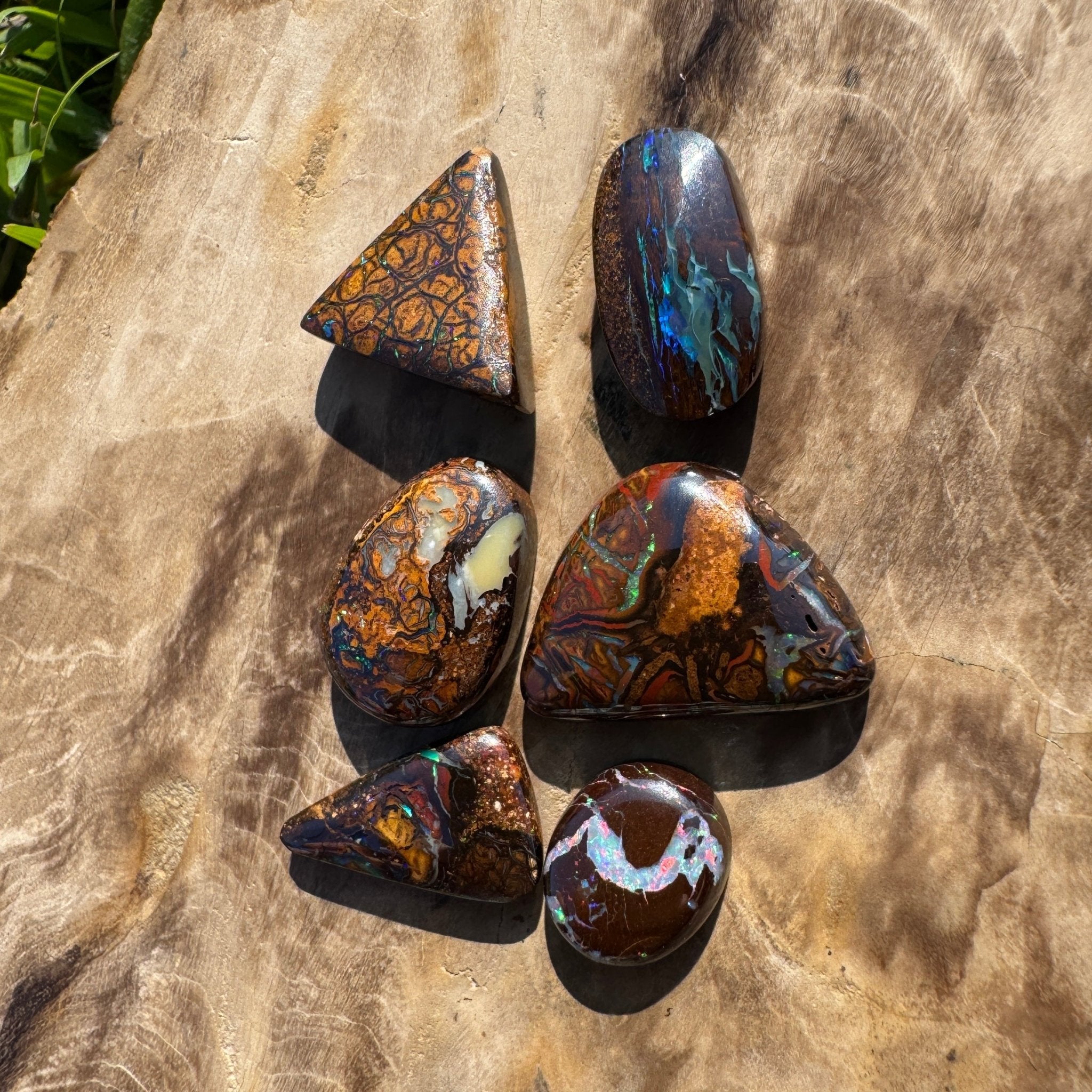 33.7ct Queensland Boulder Opal Parcel