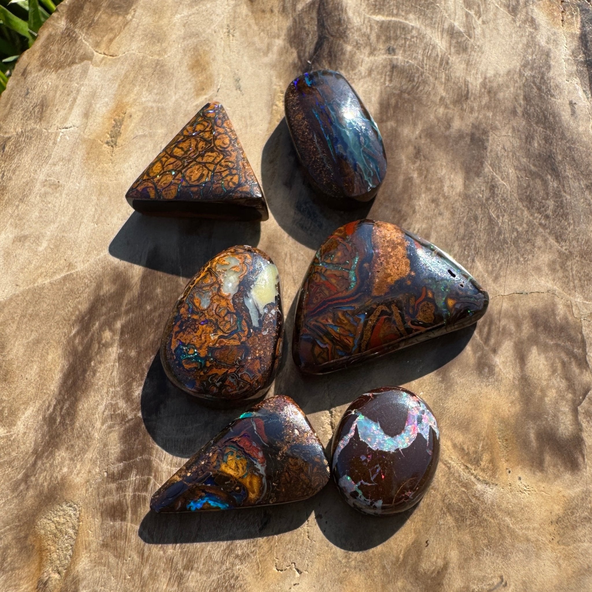 33.7ct Queensland Boulder Opal Parcel