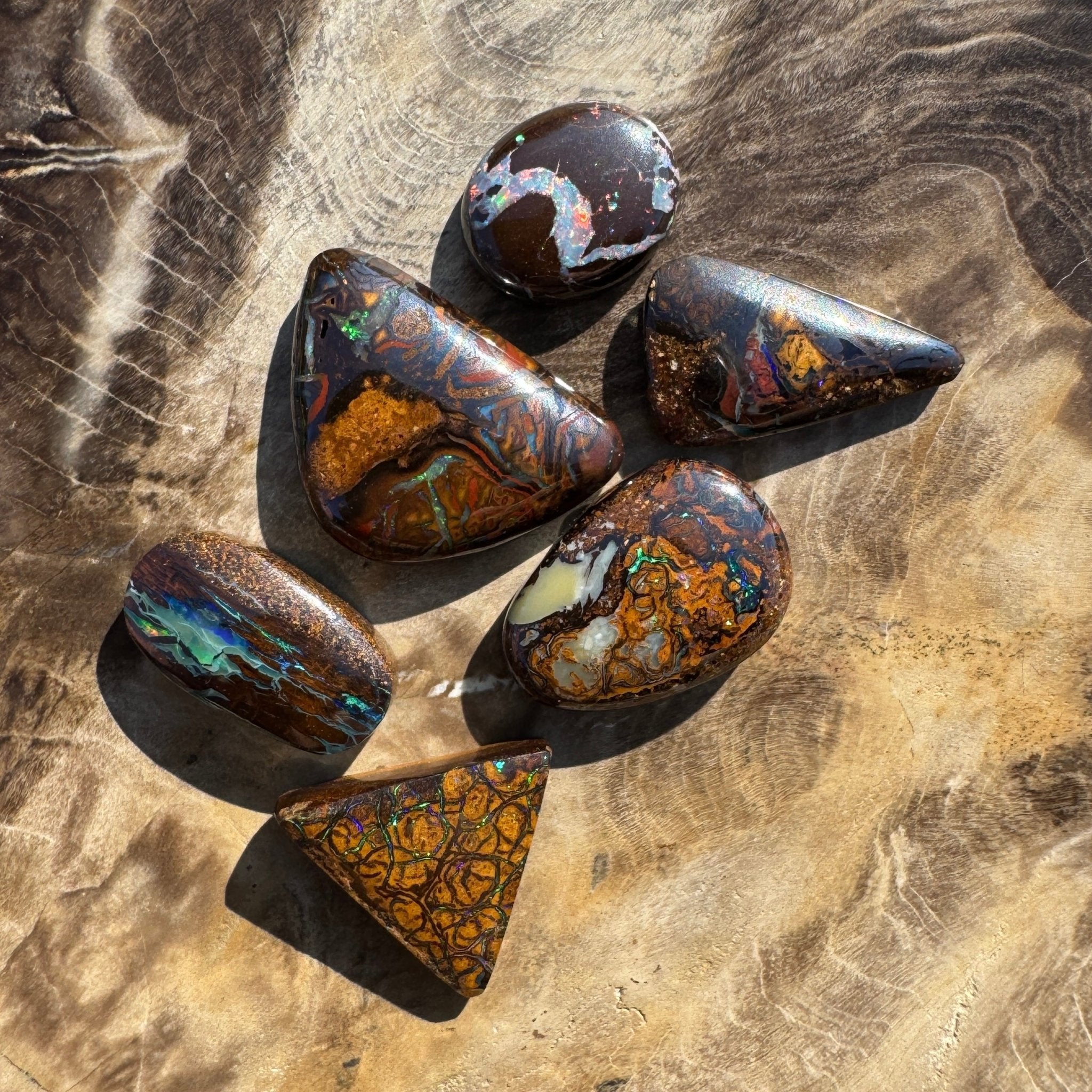 33.7ct Queensland Boulder Opal Parcel