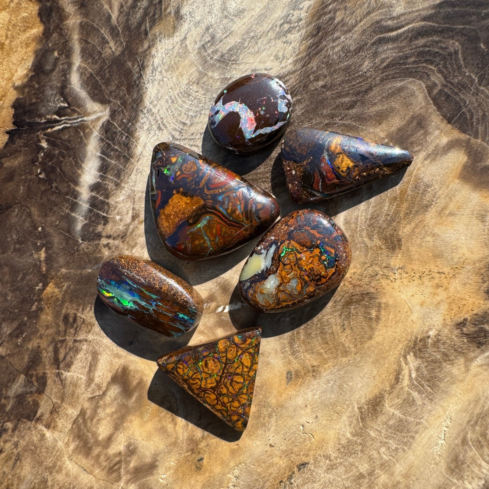 33.7ct Queensland Boulder Opal Parcel