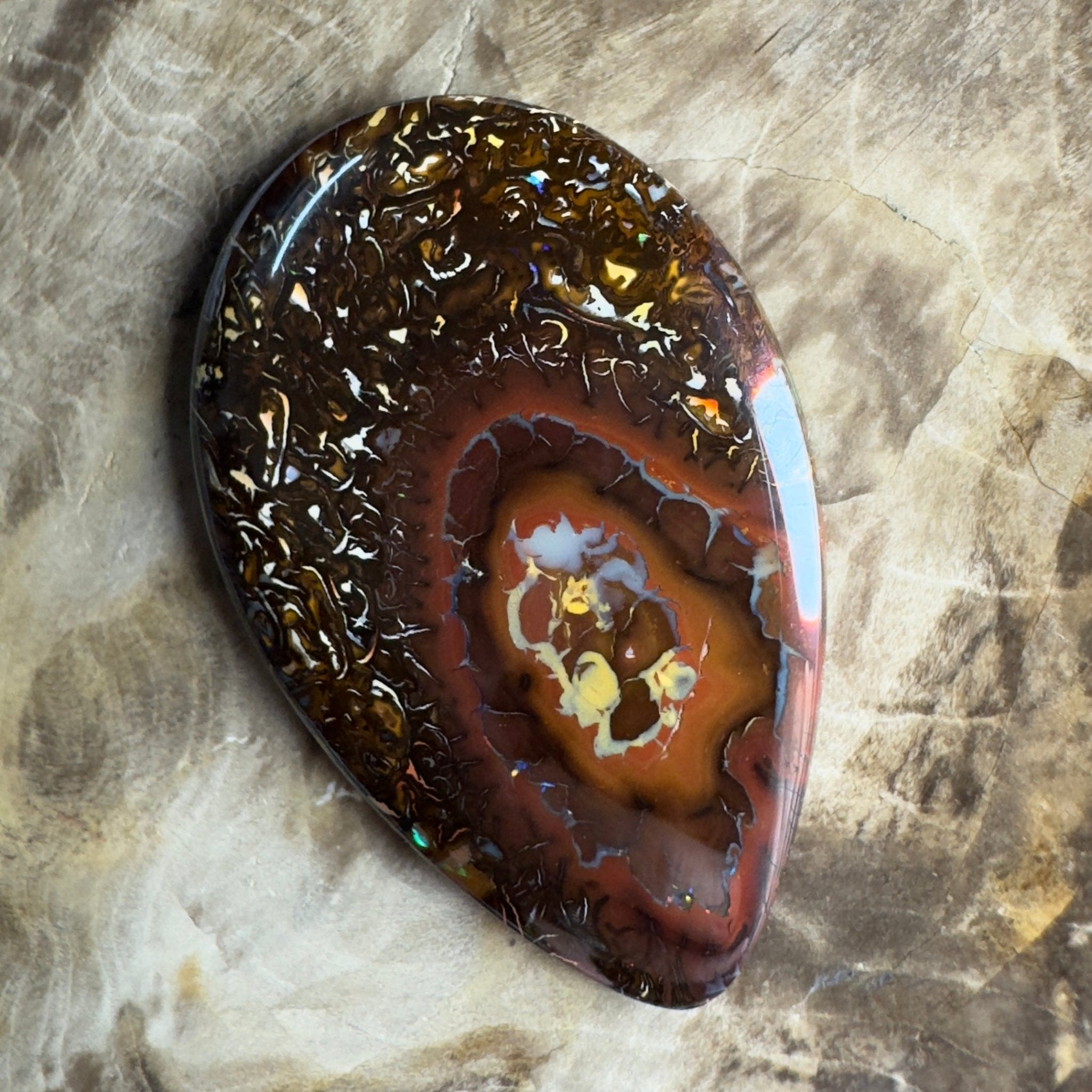 35.6ct Solid Queensland Boulder Opal