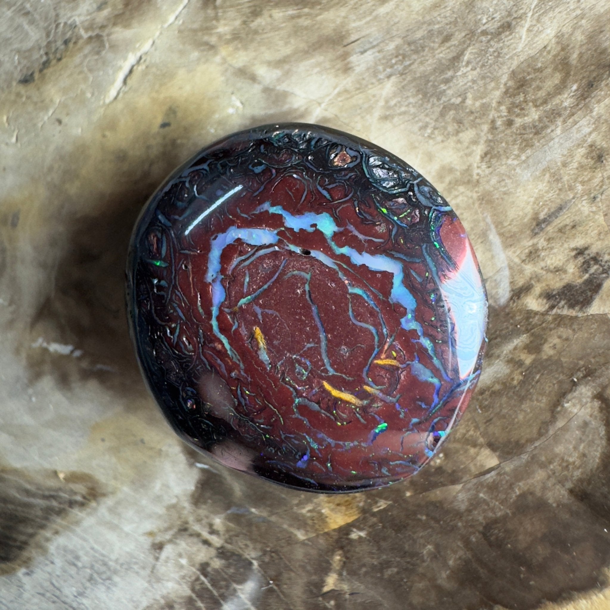 38.5ct Solid Queensland Boulder Opal