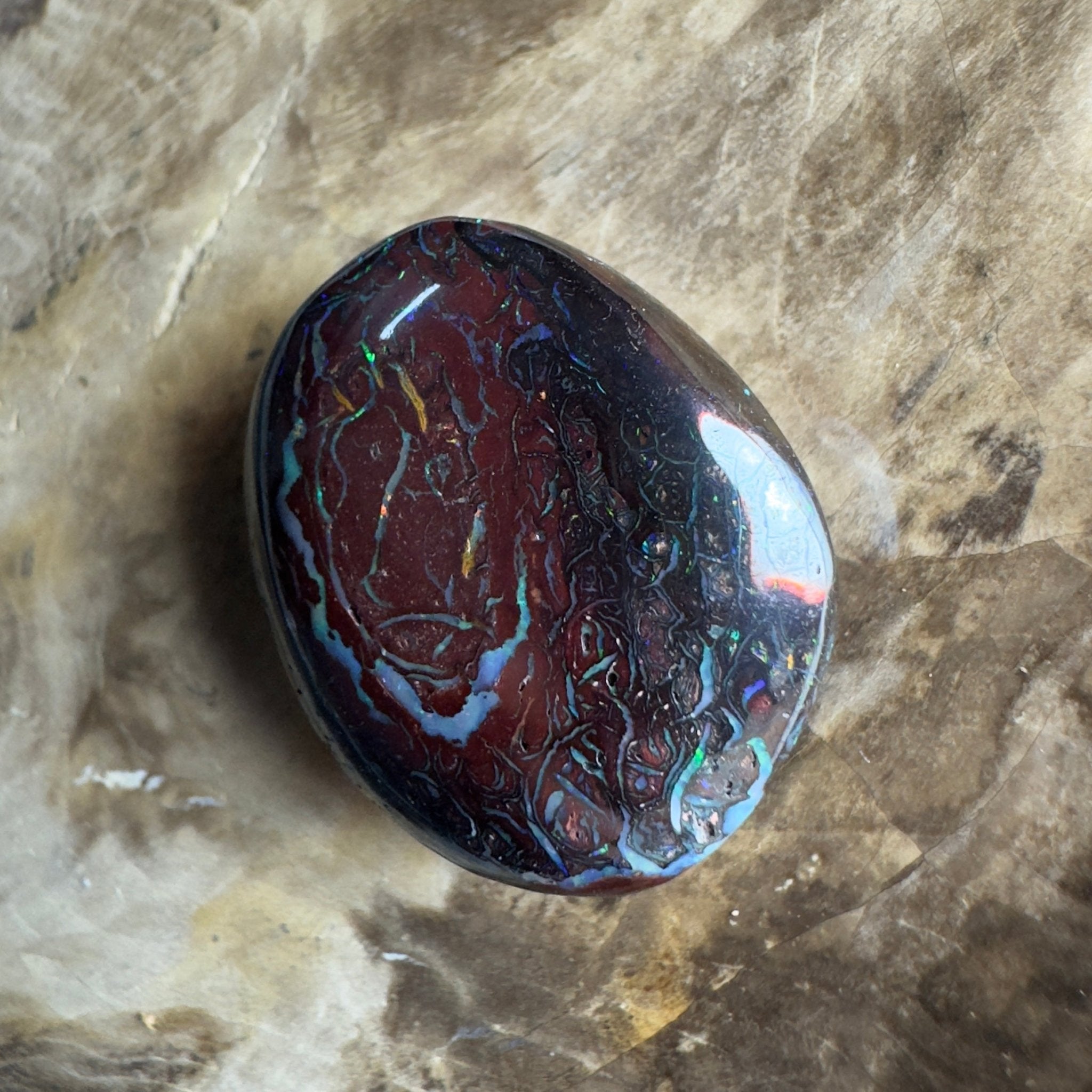 38.5ct Solid Queensland Boulder Opal