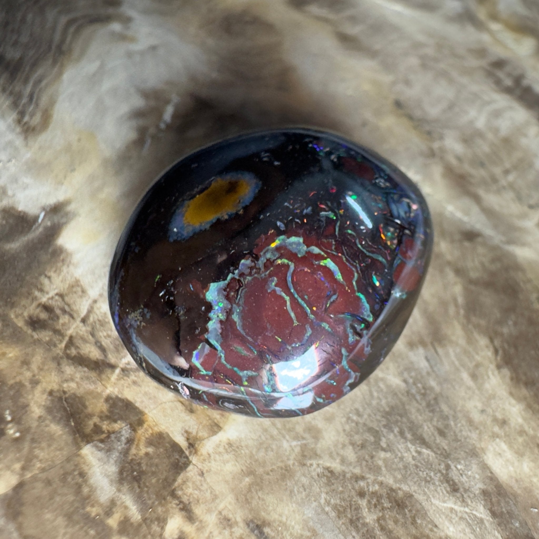 38.5ct Solid Queensland Boulder Opal