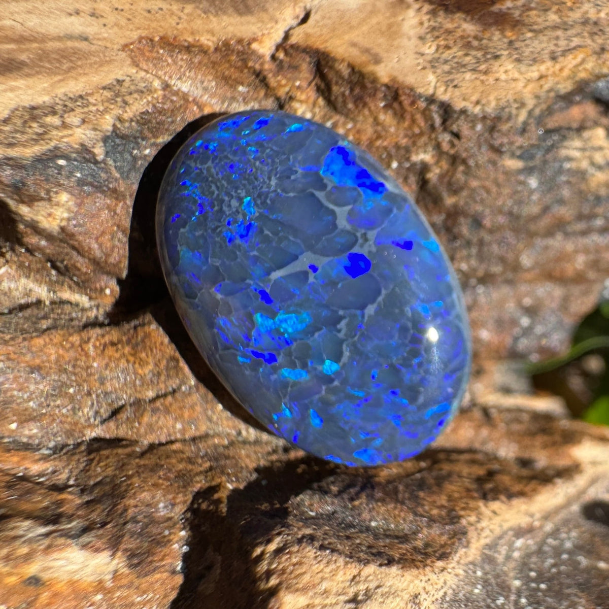 4.1ct Lightning Ridge Black Opal | Solid Australian Opal | Hand-Cut