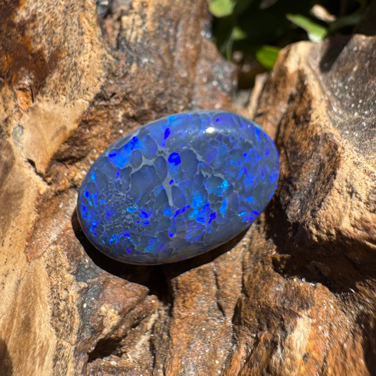 4.1ct Lightning Ridge Black Opal | Solid Australian Opal | Hand-Cut